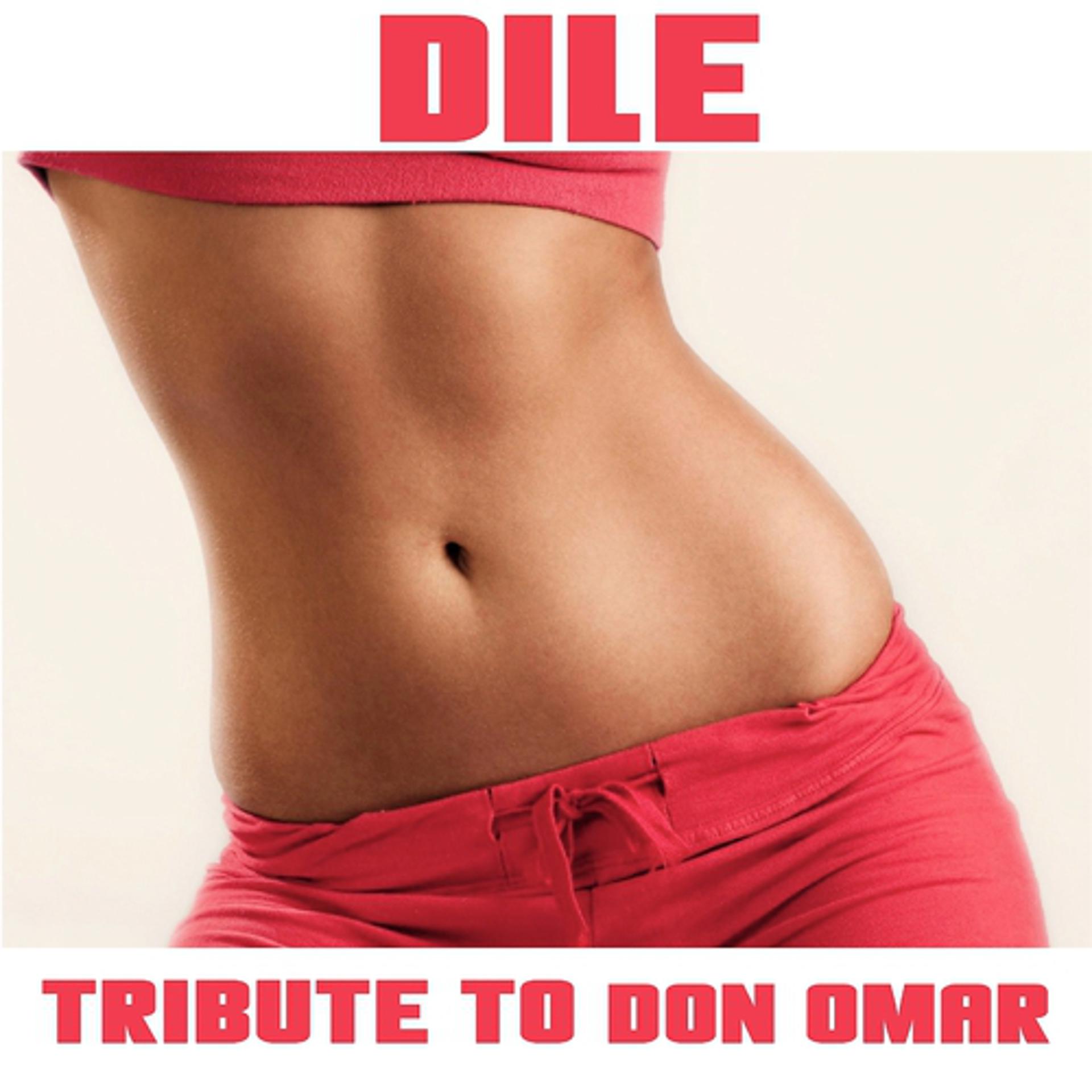 Постер альбома Dile (Tribute To Don Omar)