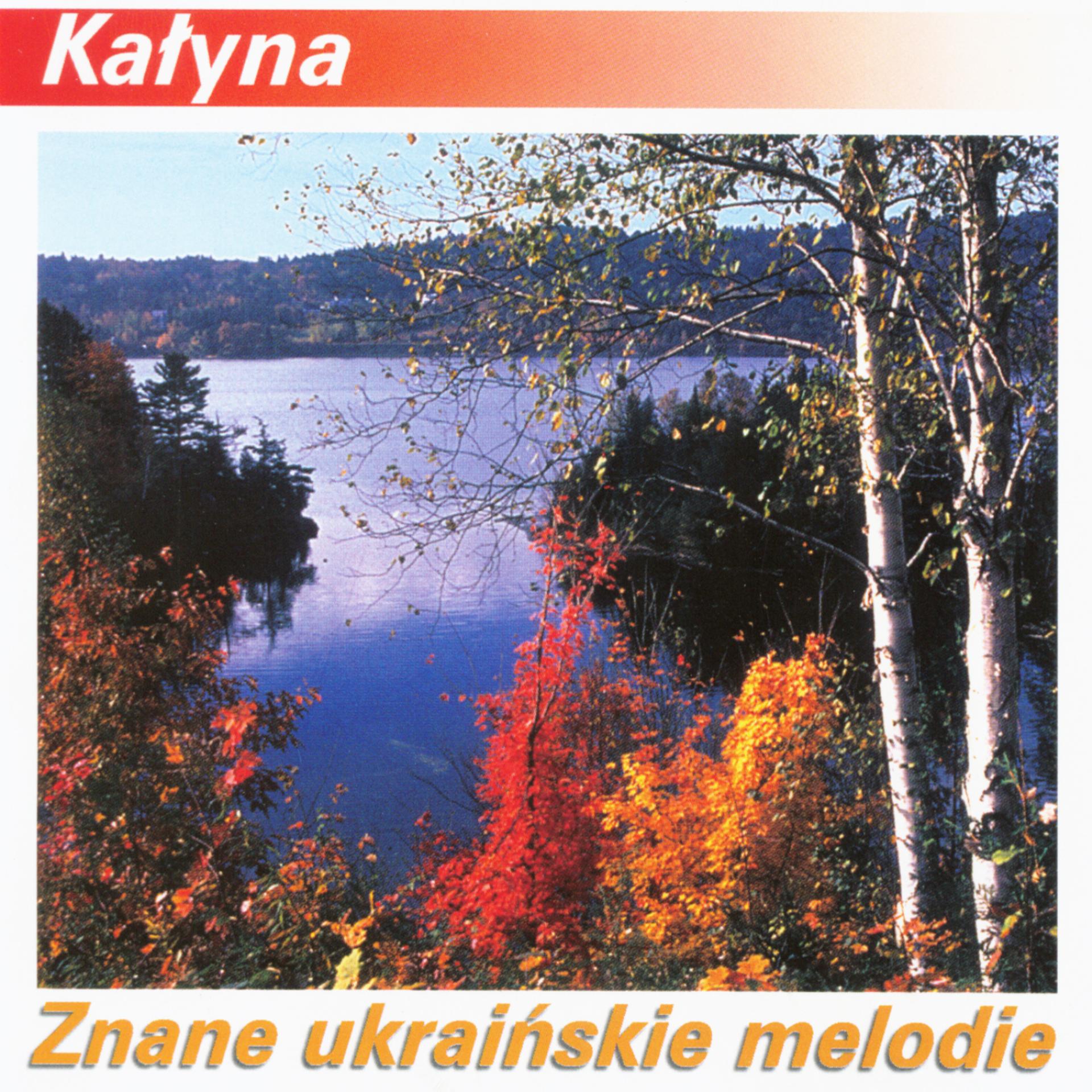 Постер альбома Znane Ukrainskie Melodie (Famous Ukrainian Melodies)