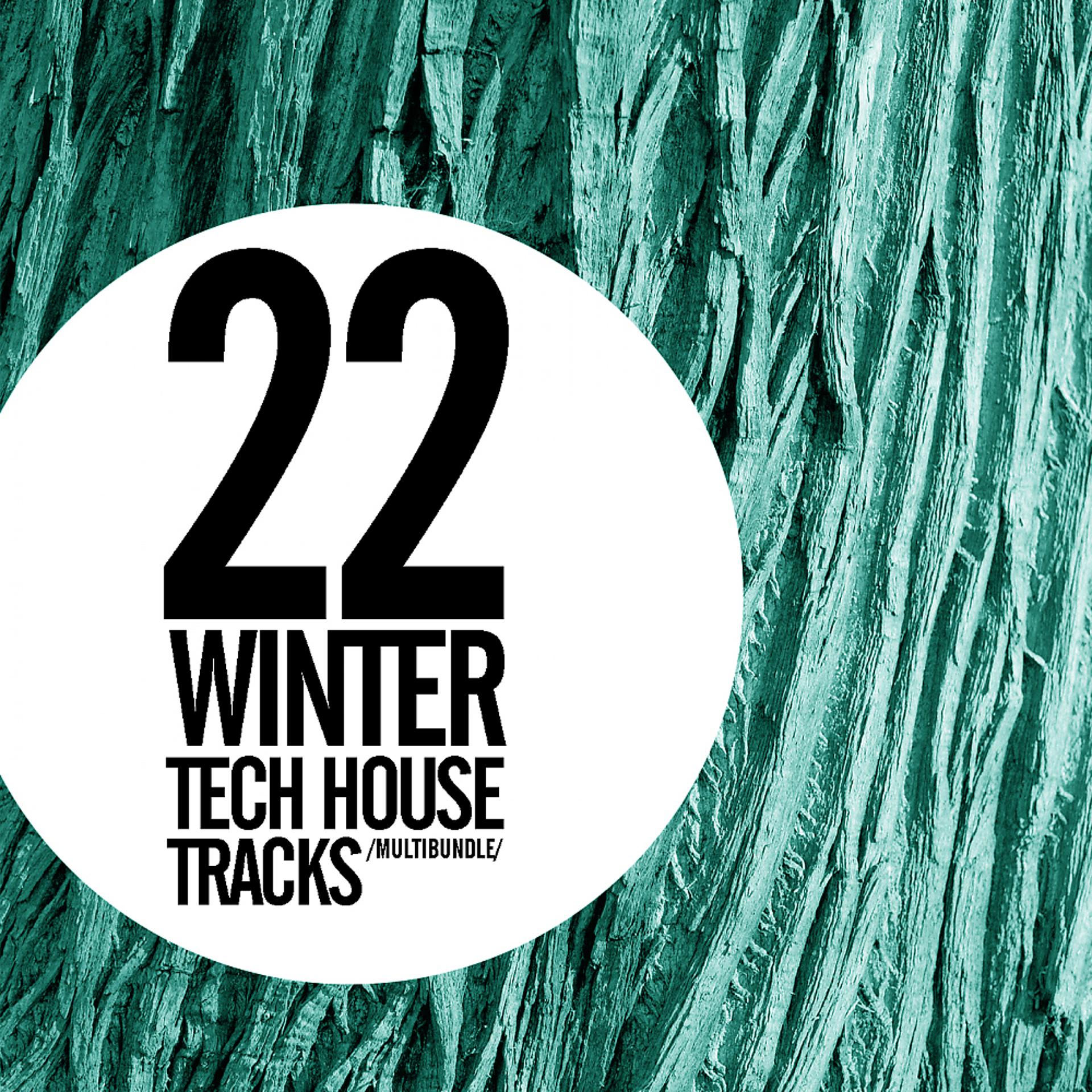 Постер альбома 22 Winter Tech House Tracks