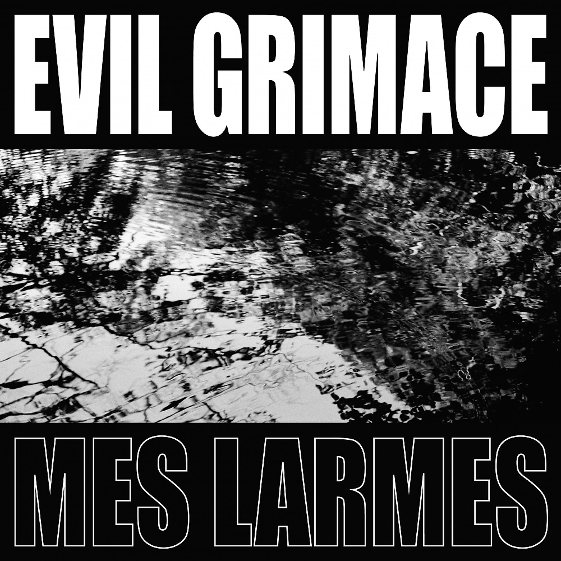 Постер альбома Mes Larmes
