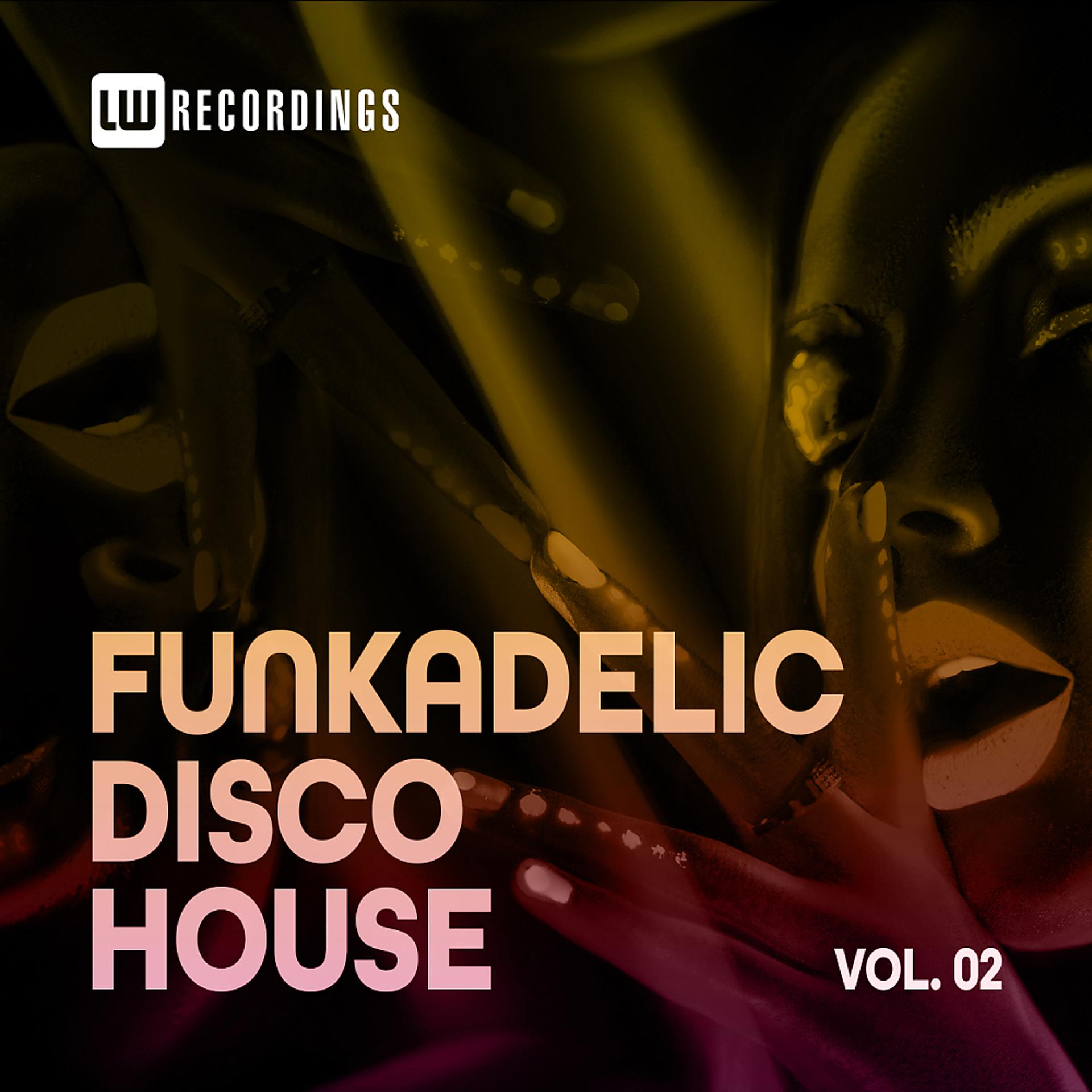 Постер альбома Funkadelic Disco House, 02