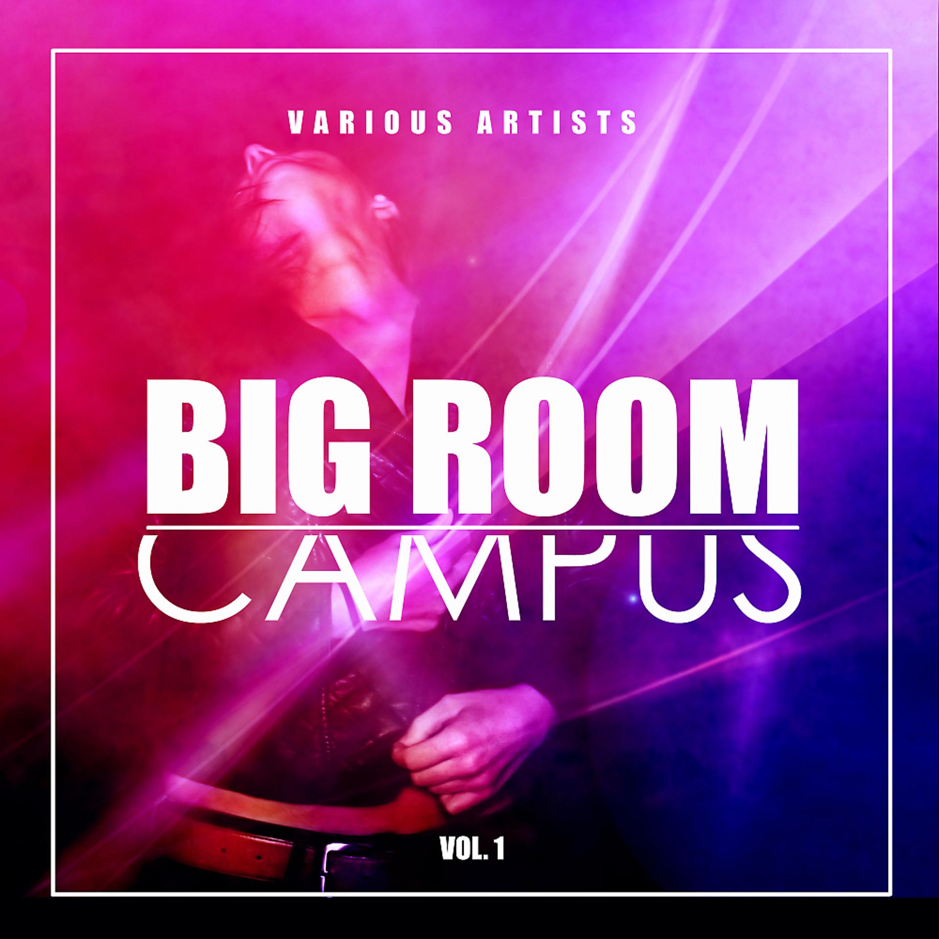 Постер альбома Big Room Campus, Vol. 1