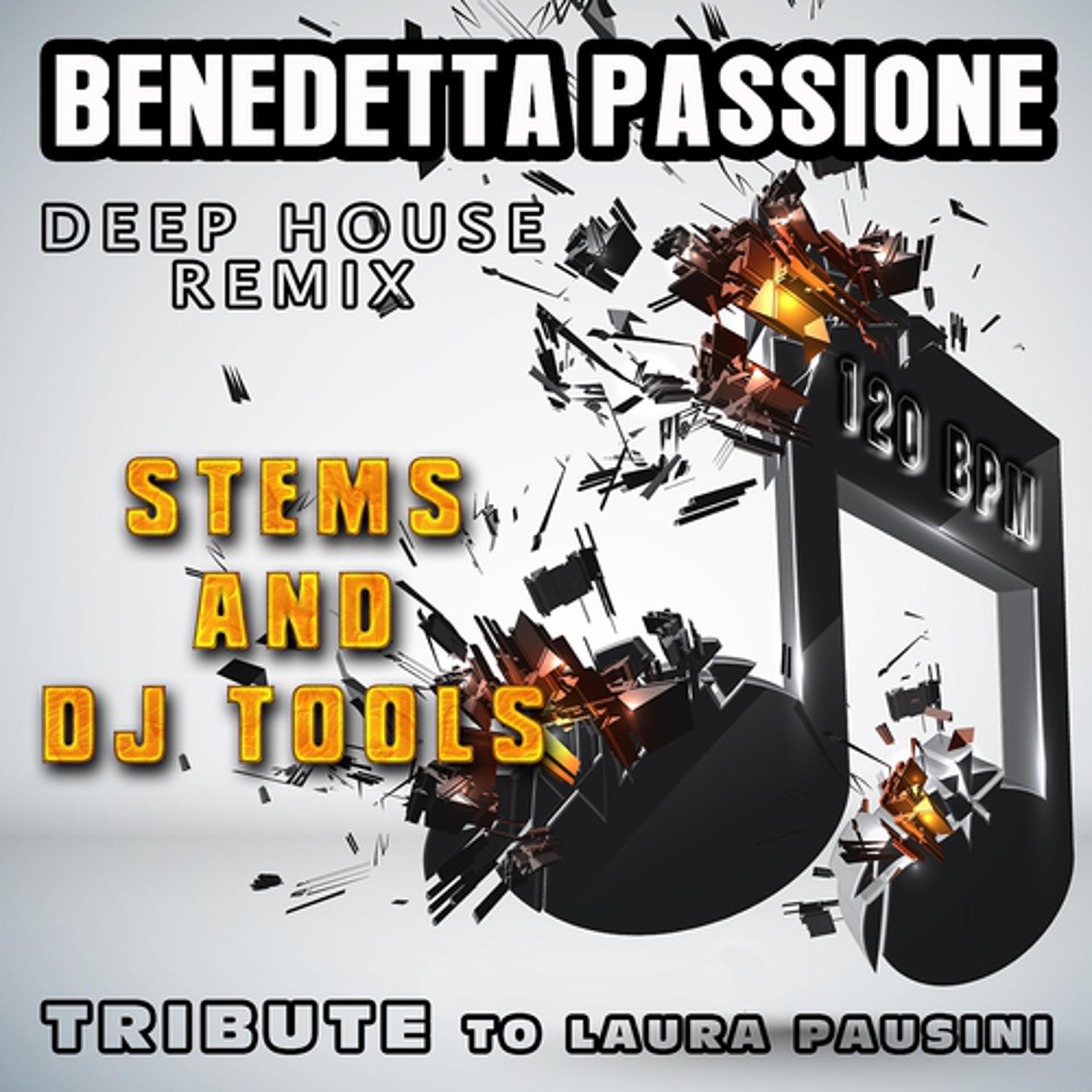 Постер альбома Benedetta passione : Deep House Remix, Stems and DJ Tools, Tribute to Laura Pausini