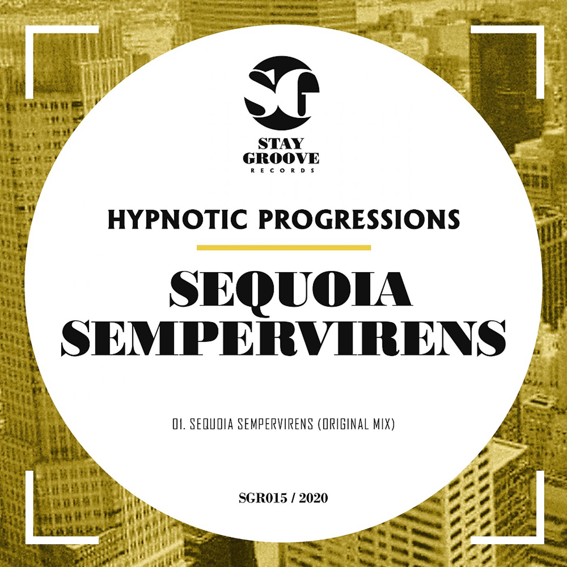 Постер альбома Sequoia Sempervirens
