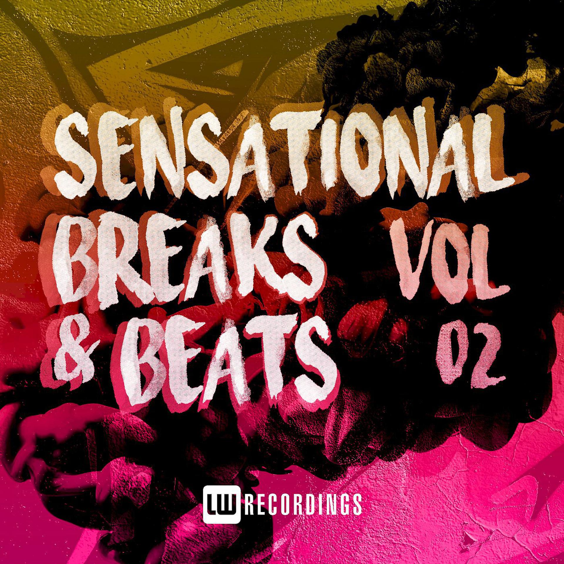Постер альбома Sensational Breaks & Beats, Vol. 02