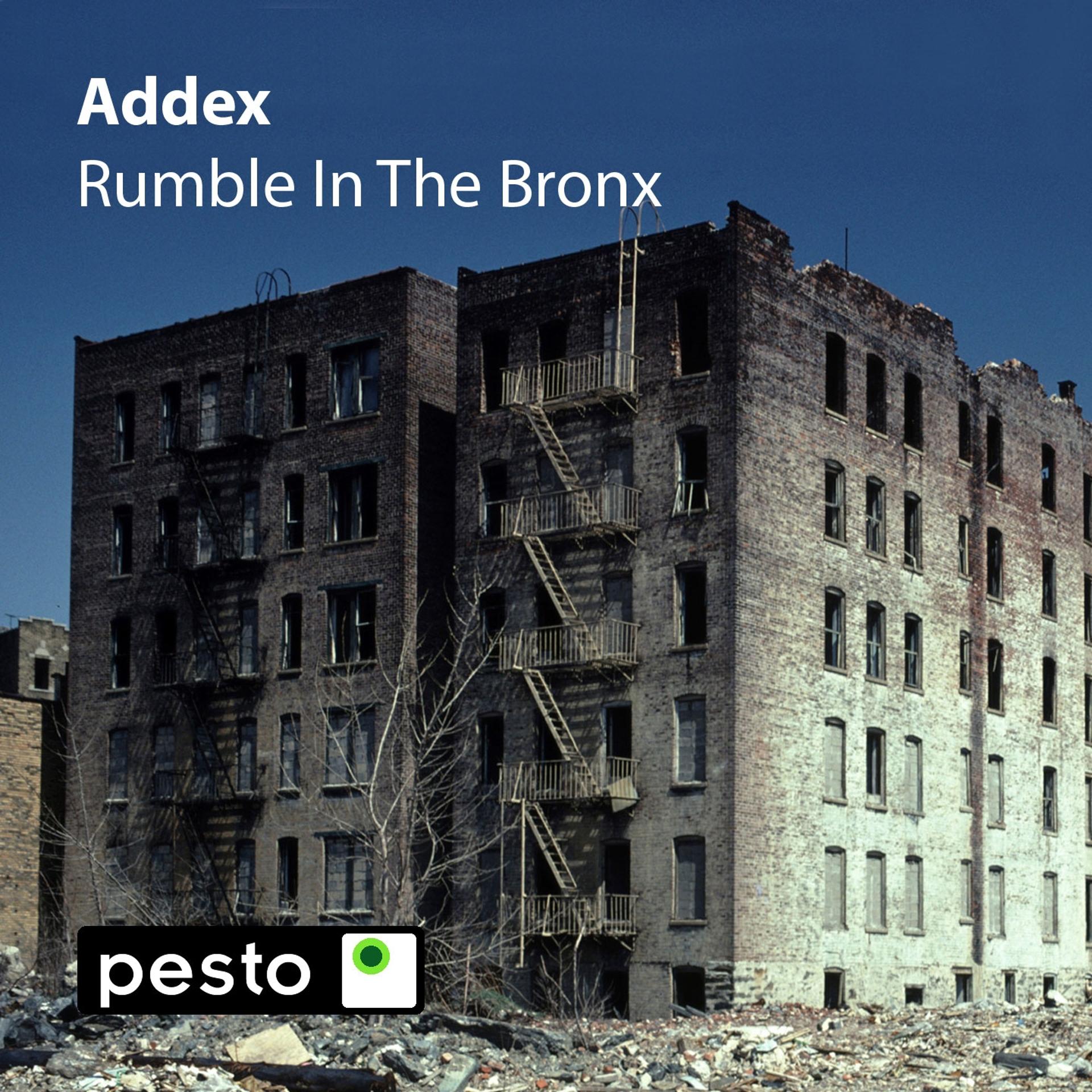 Постер альбома Rumble in the Bronx