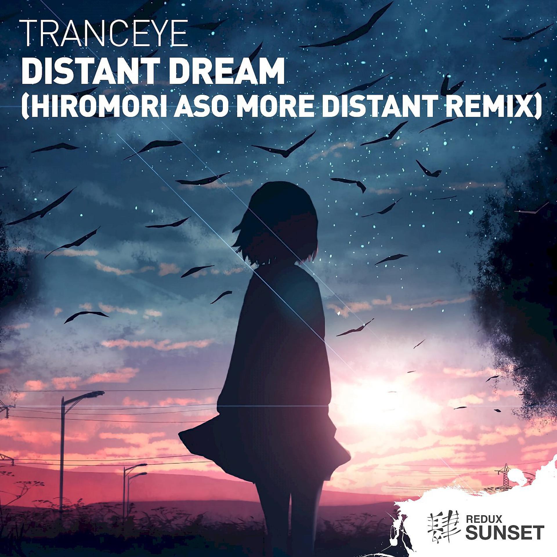 Постер альбома Distant Dream (Hiromori Aso More Distant Remix)