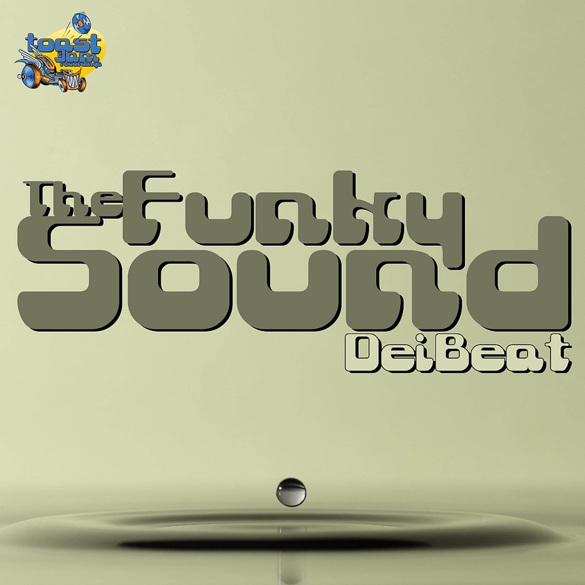 Постер альбома The Funky Sound