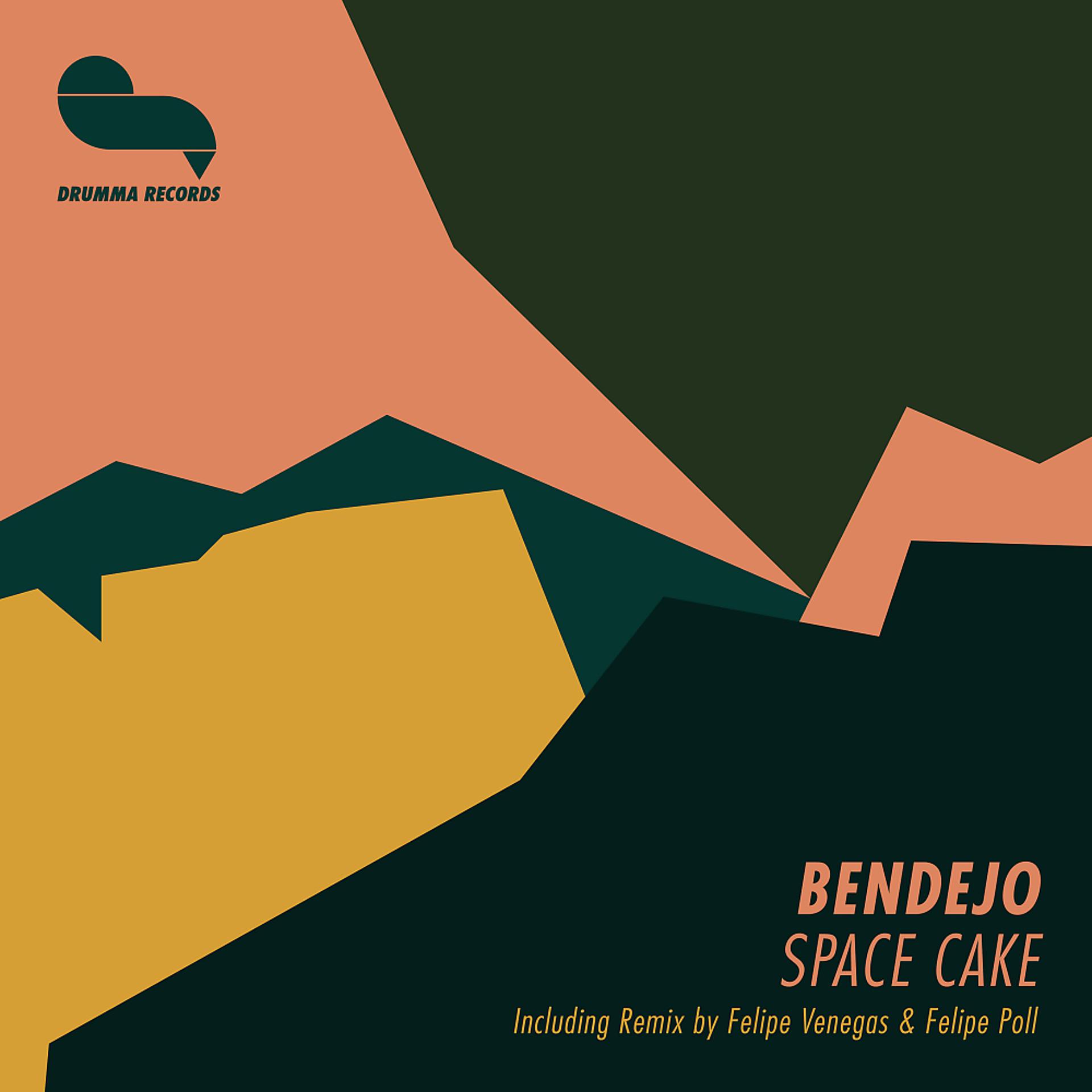 Постер альбома Space Cake