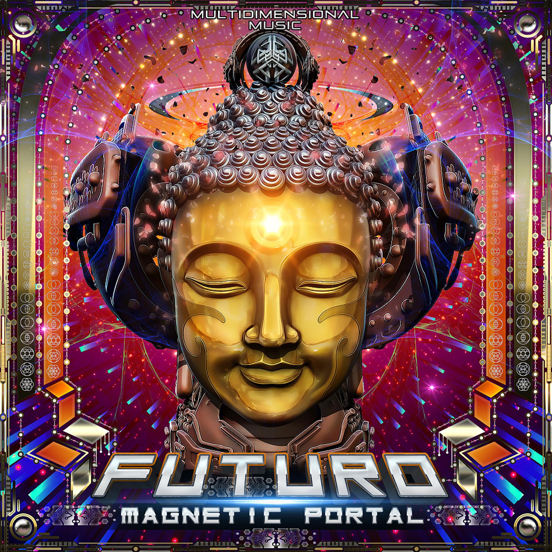 Постер альбома Magnetic Portal