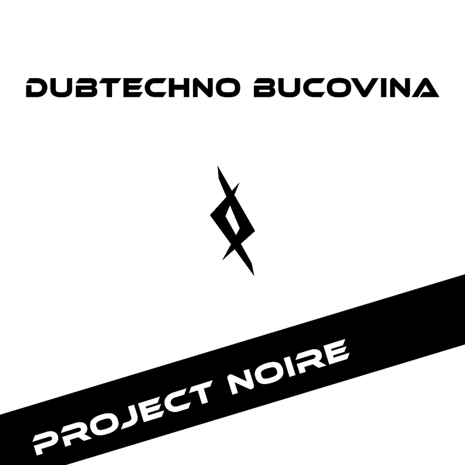 Постер альбома DubTechno Bucovina