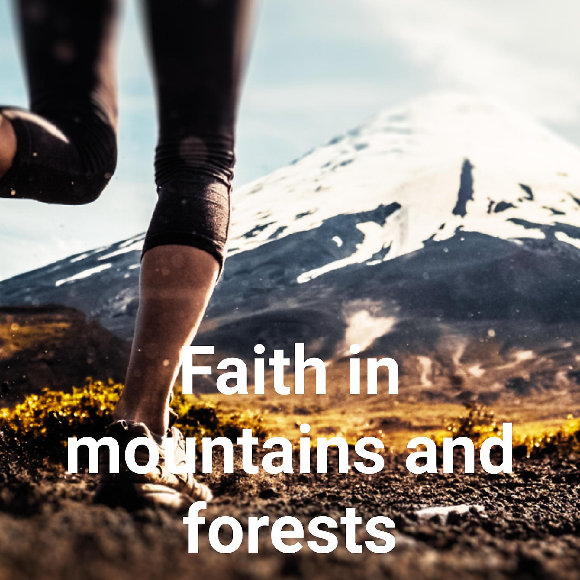 Постер альбома Faith in Mountains and Forests
