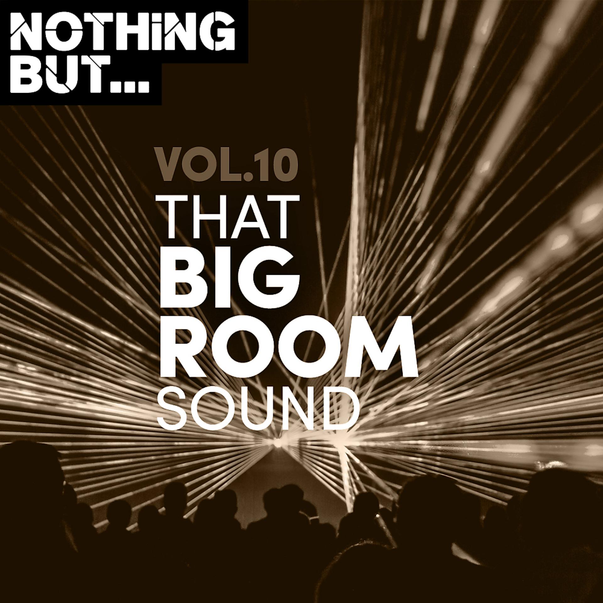 Постер альбома Nothing But... That Big Room Sound, Vol. 10