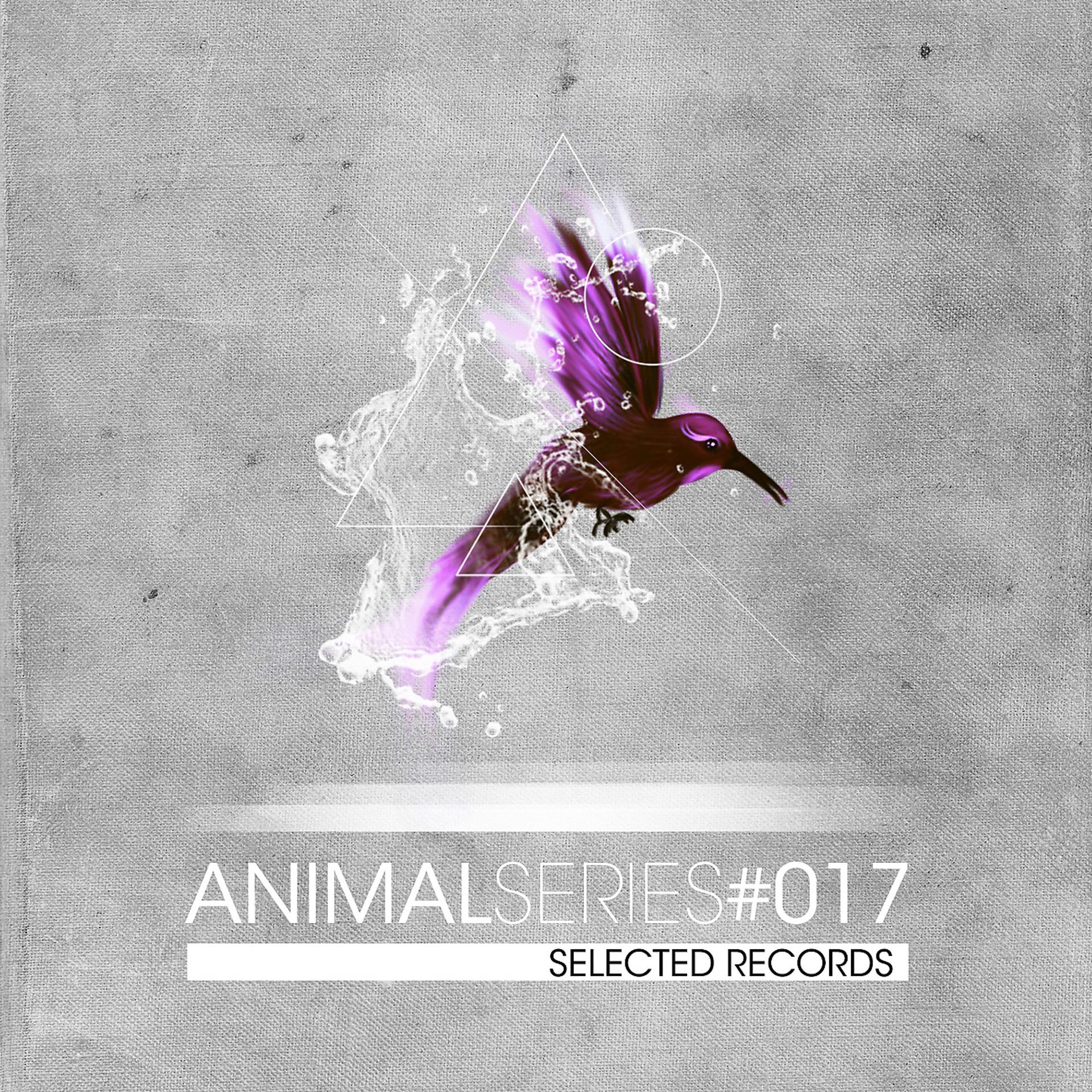 Постер альбома Animal Series 017