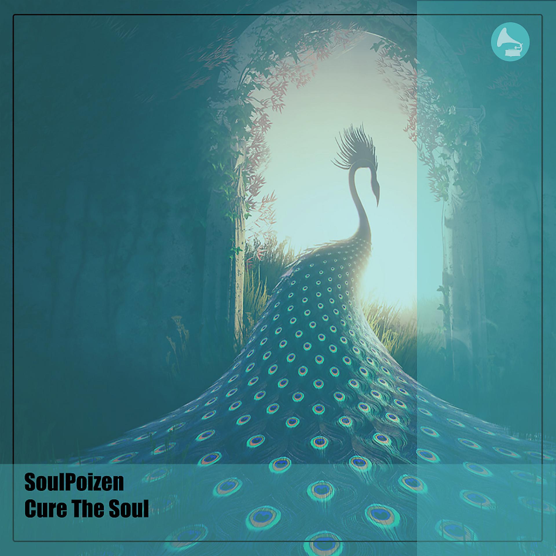Постер альбома Cure The Soul