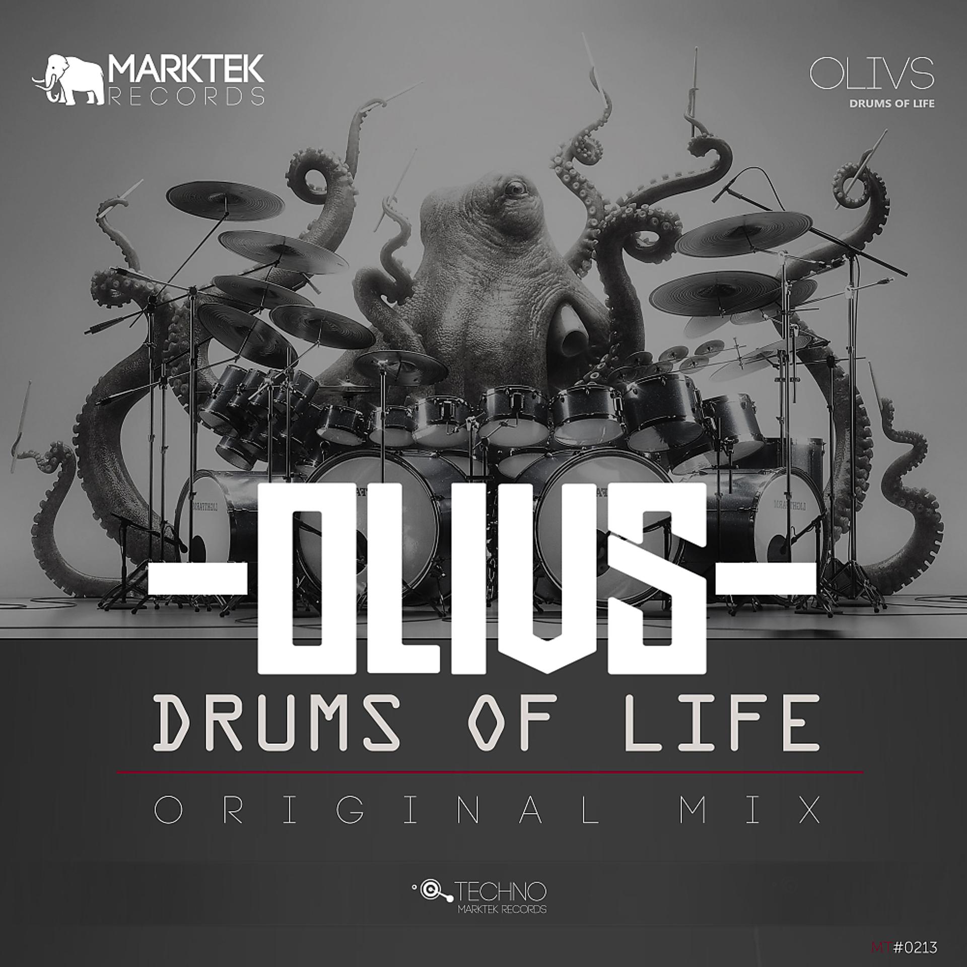 Постер альбома Drums of Life