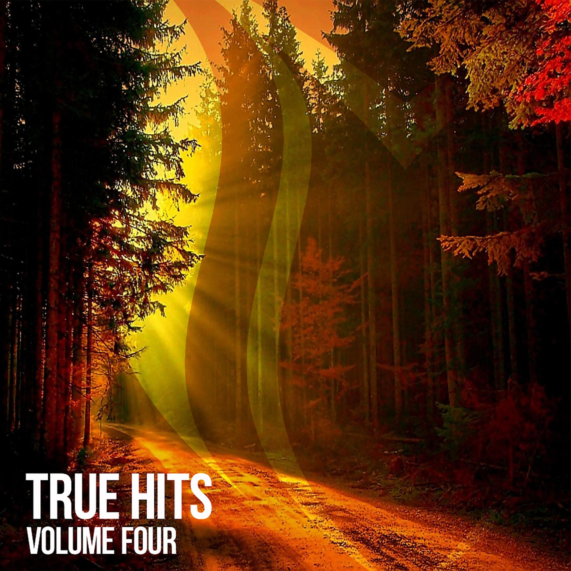 Постер альбома True Hits, Vol. 4