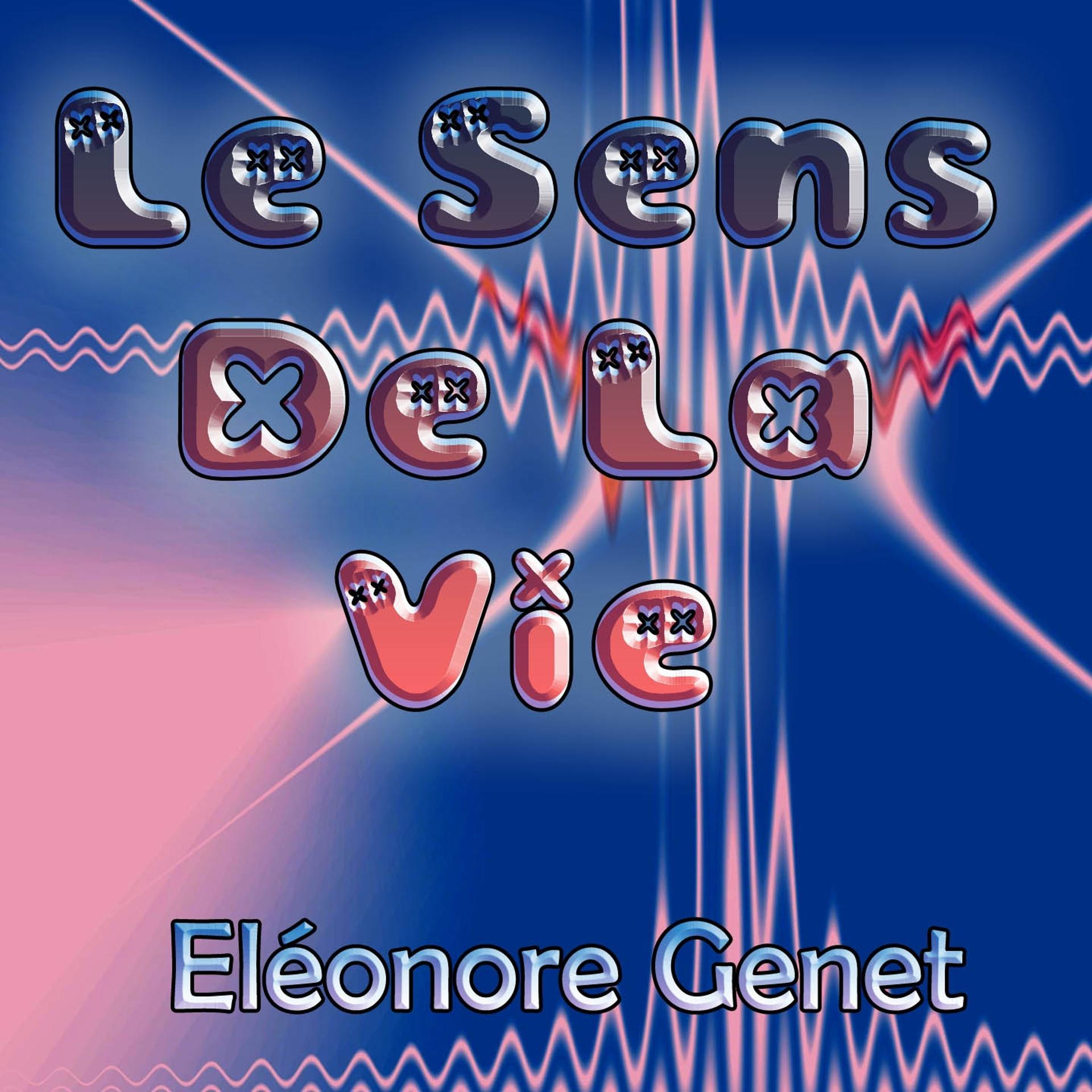 Постер альбома Le sens de la vie