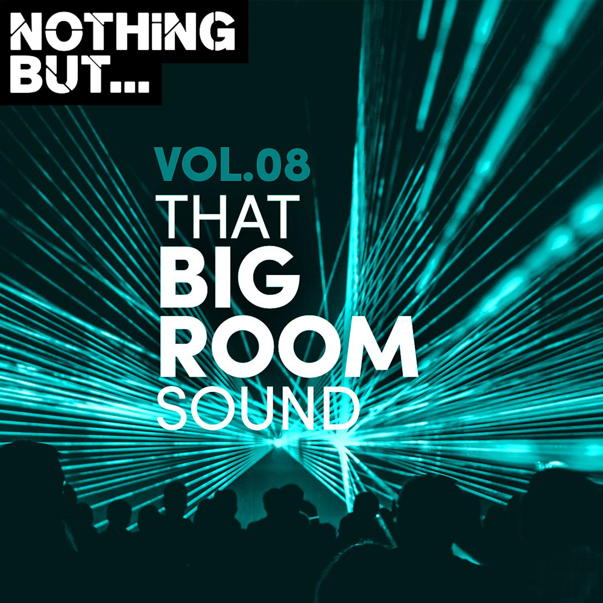 Постер альбома Nothing But... That Big Room Sound, Vol. 08