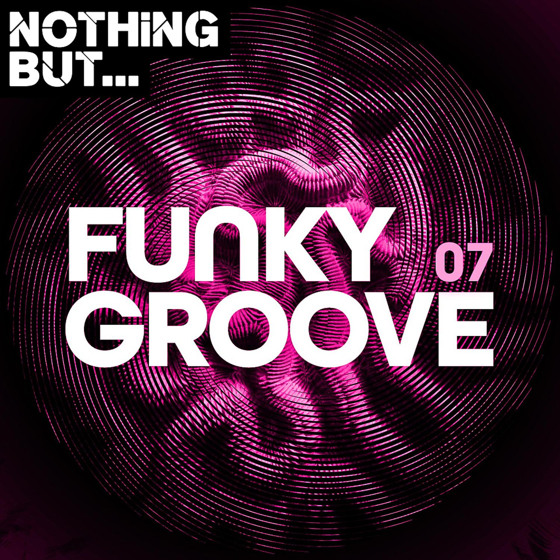 Постер альбома Nothing But... Funky Groove, Vol. 07