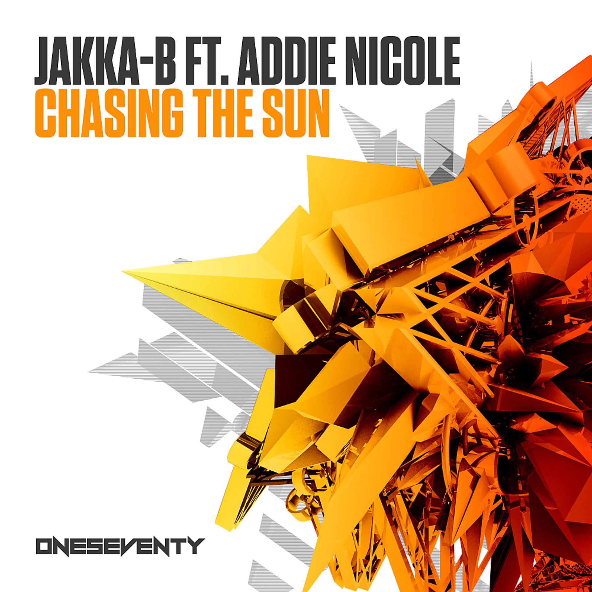 Постер альбома Chasing The Sun