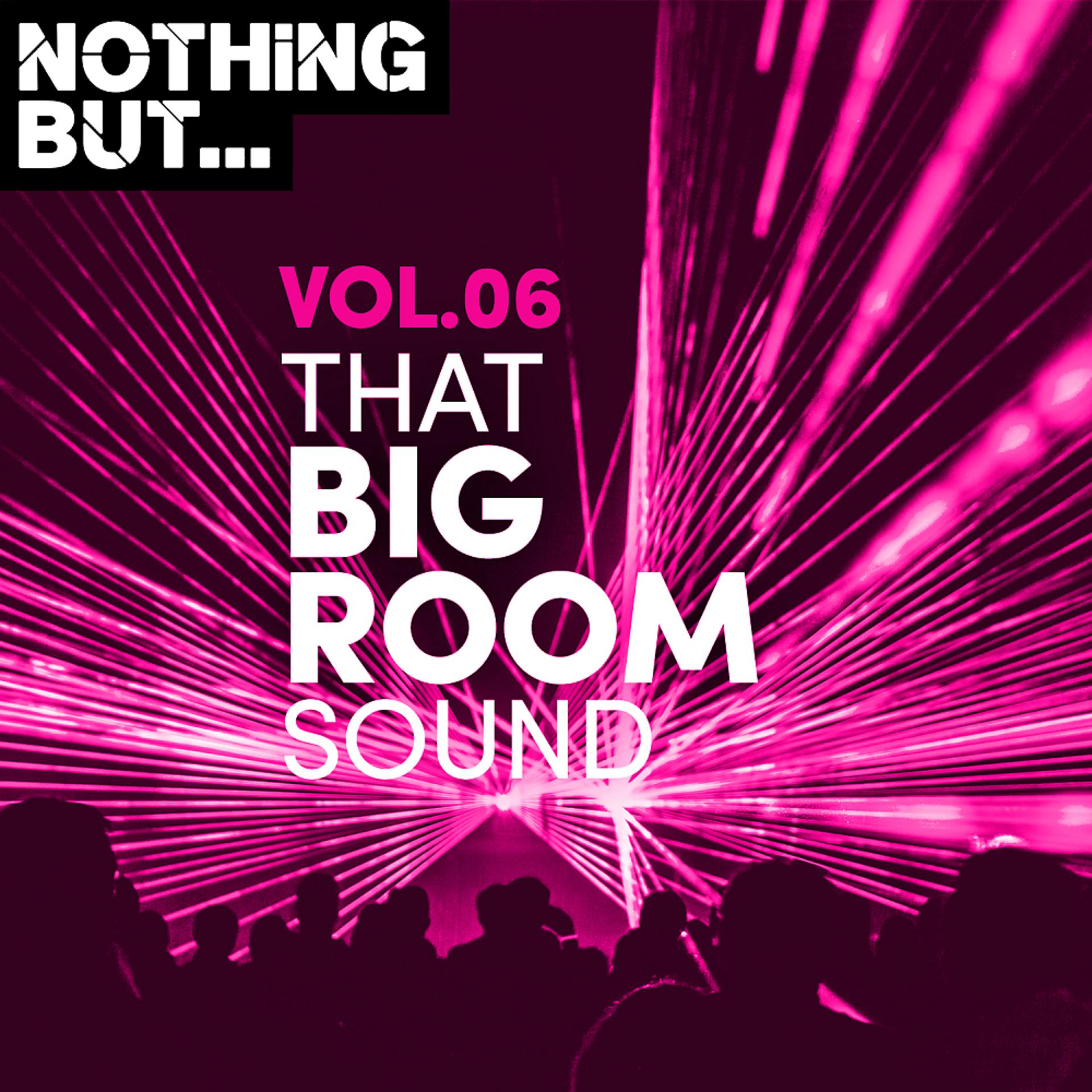 Постер альбома Nothing But... That Big Room Sound, Vol. 06