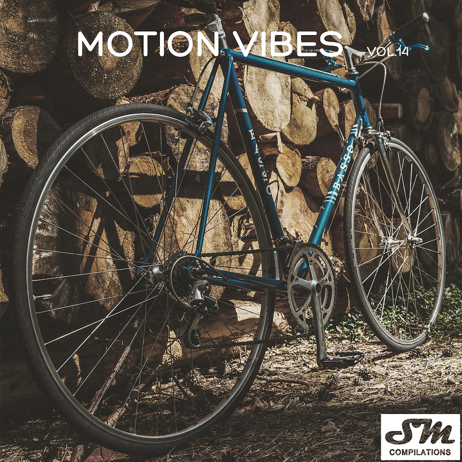 Постер альбома Motion Vibes, Vol. 14