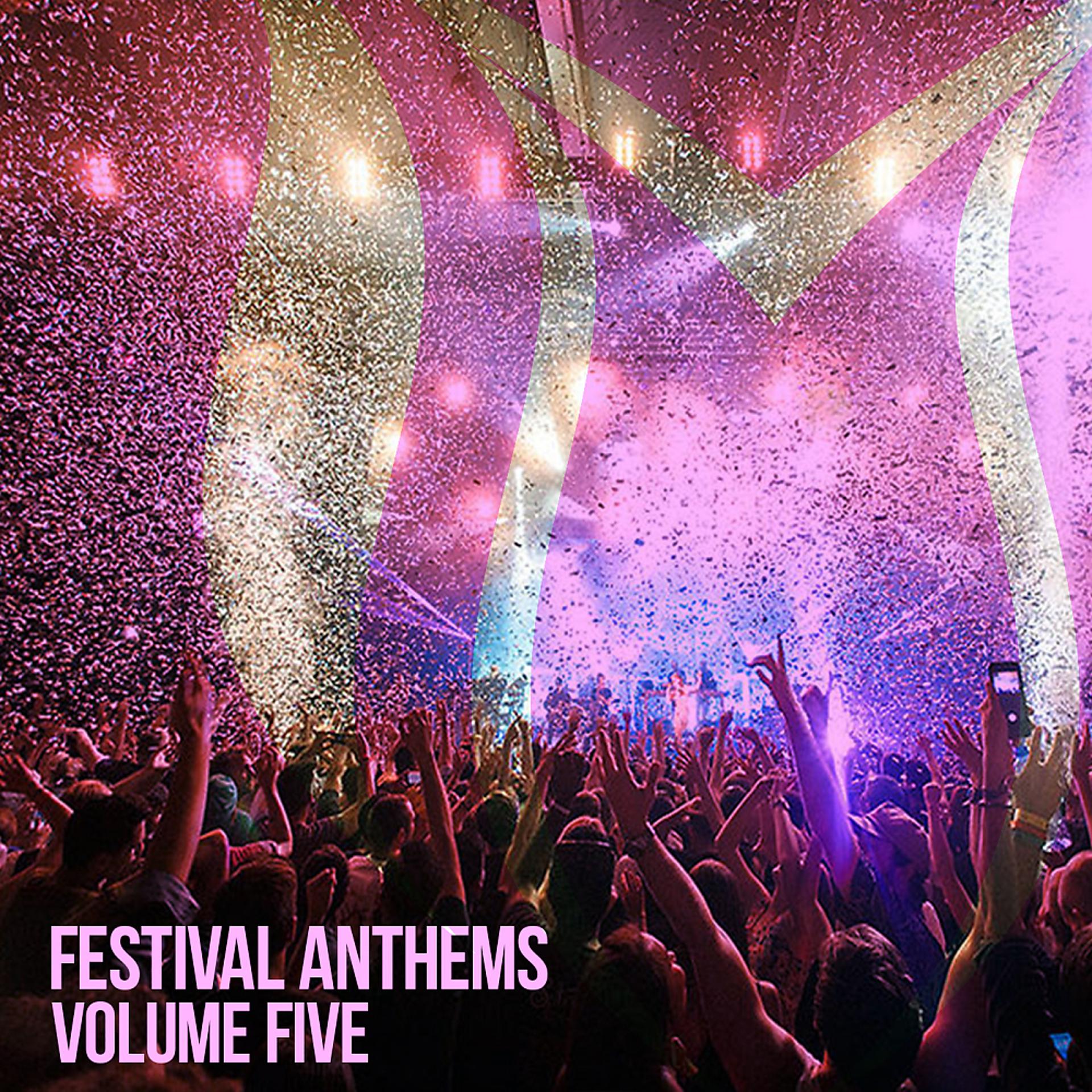 Постер альбома Festival Anthems, Vol. 5