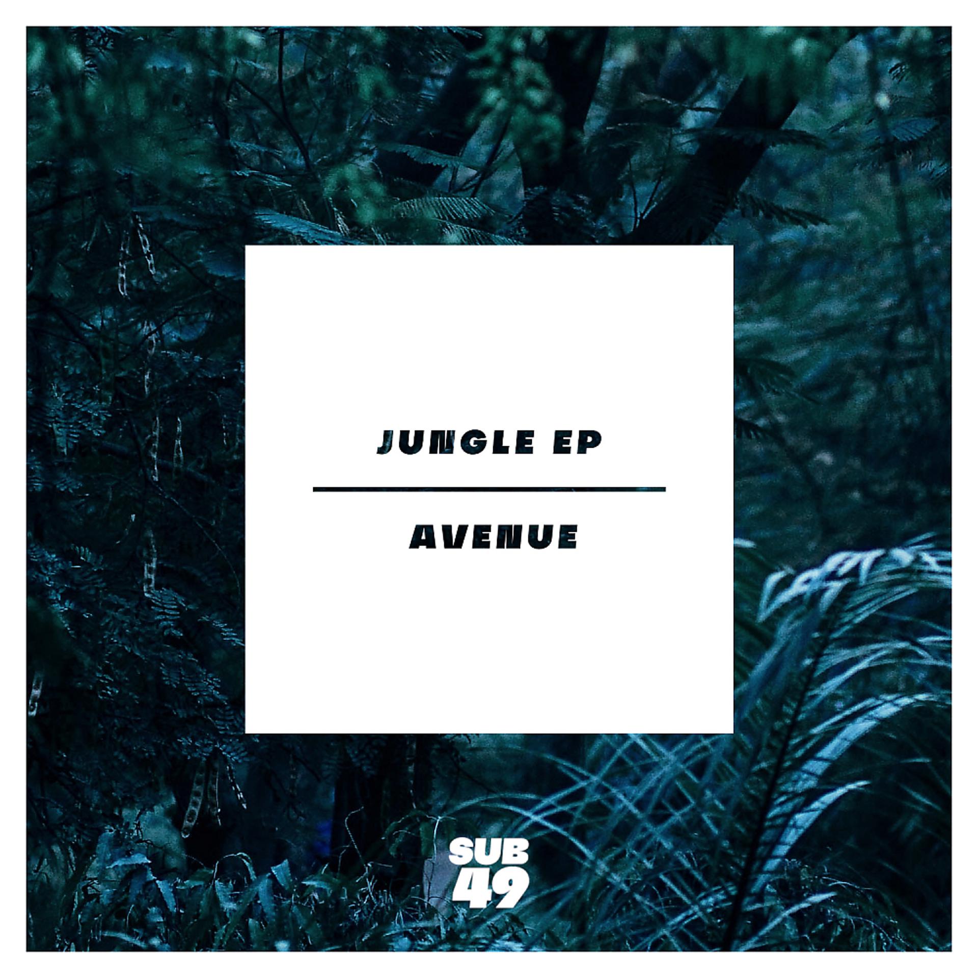 Постер альбома Jungle