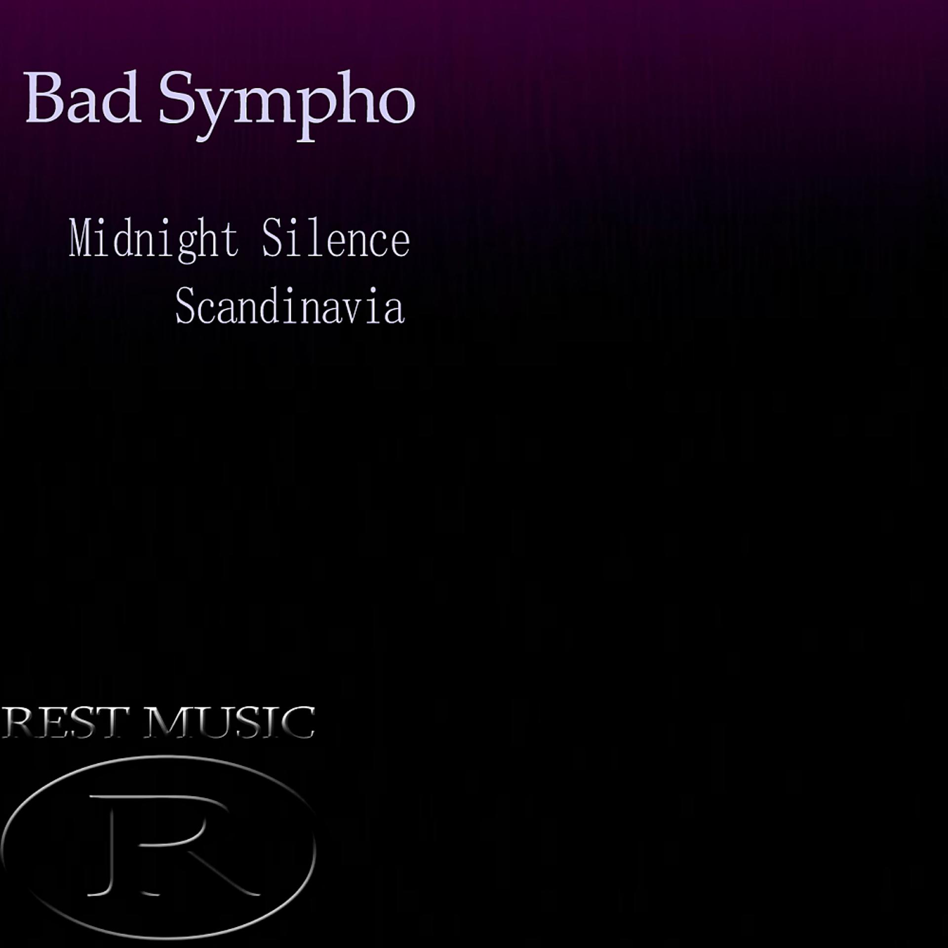 Постер альбома Midnight Silence