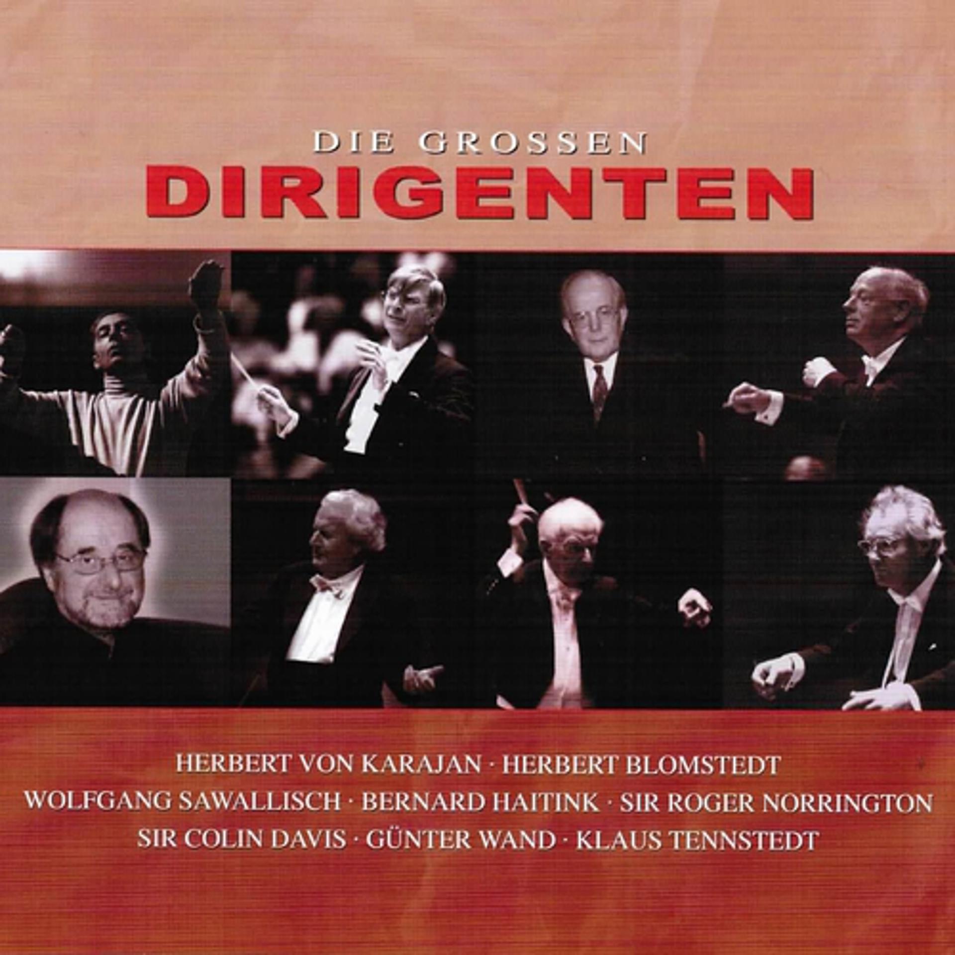 Постер альбома Die grossen Dirigenten