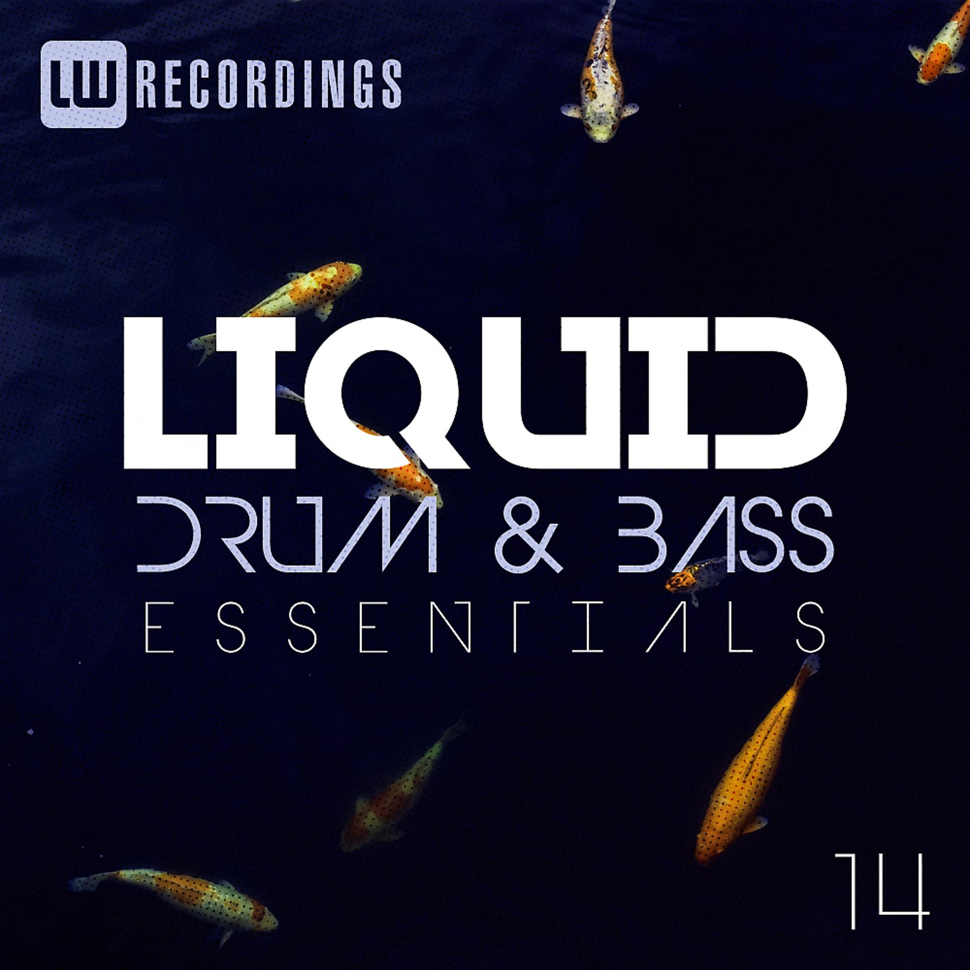 Постер альбома Liquid Drum & Bass Essentials, Vol. 14