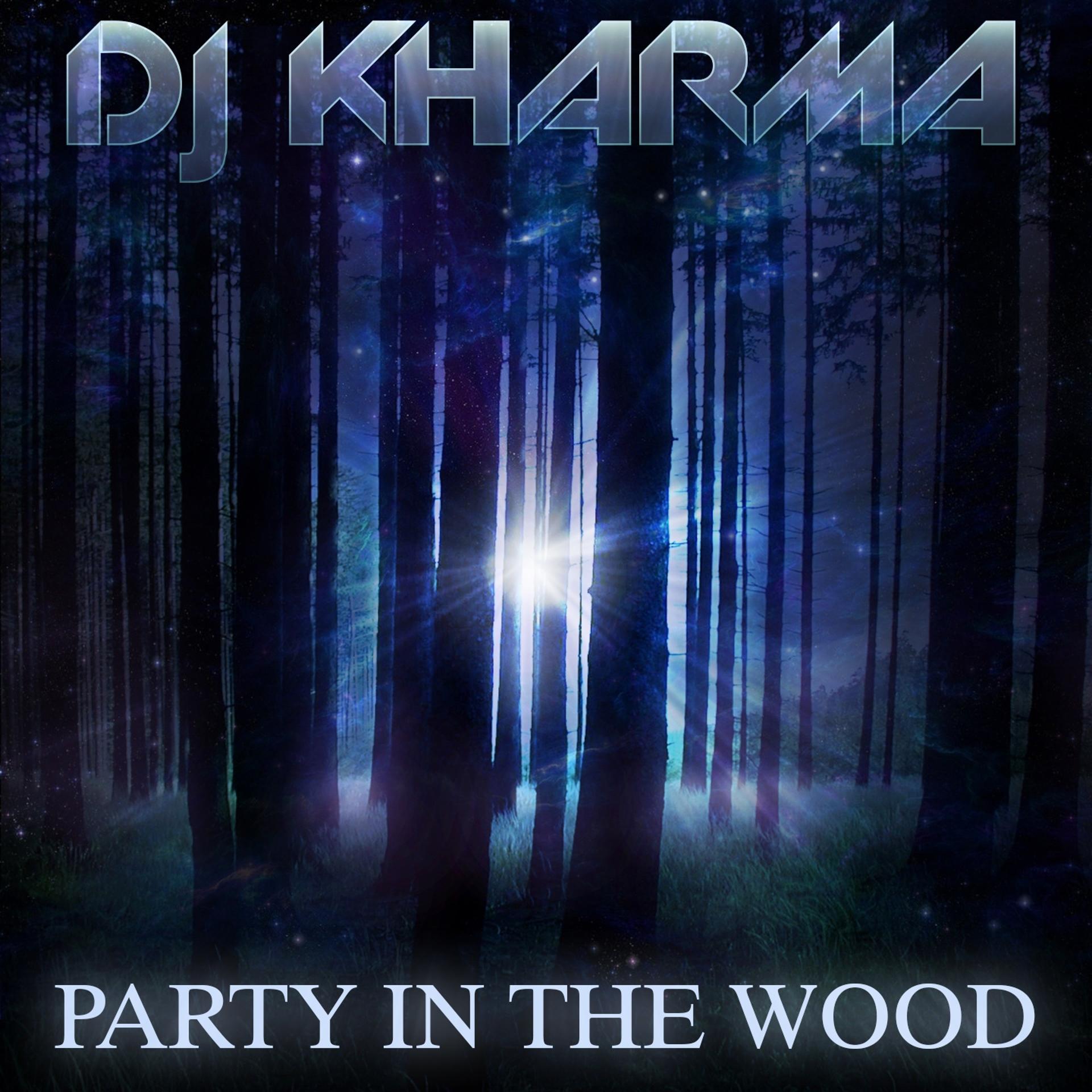Постер альбома Party in the Wood