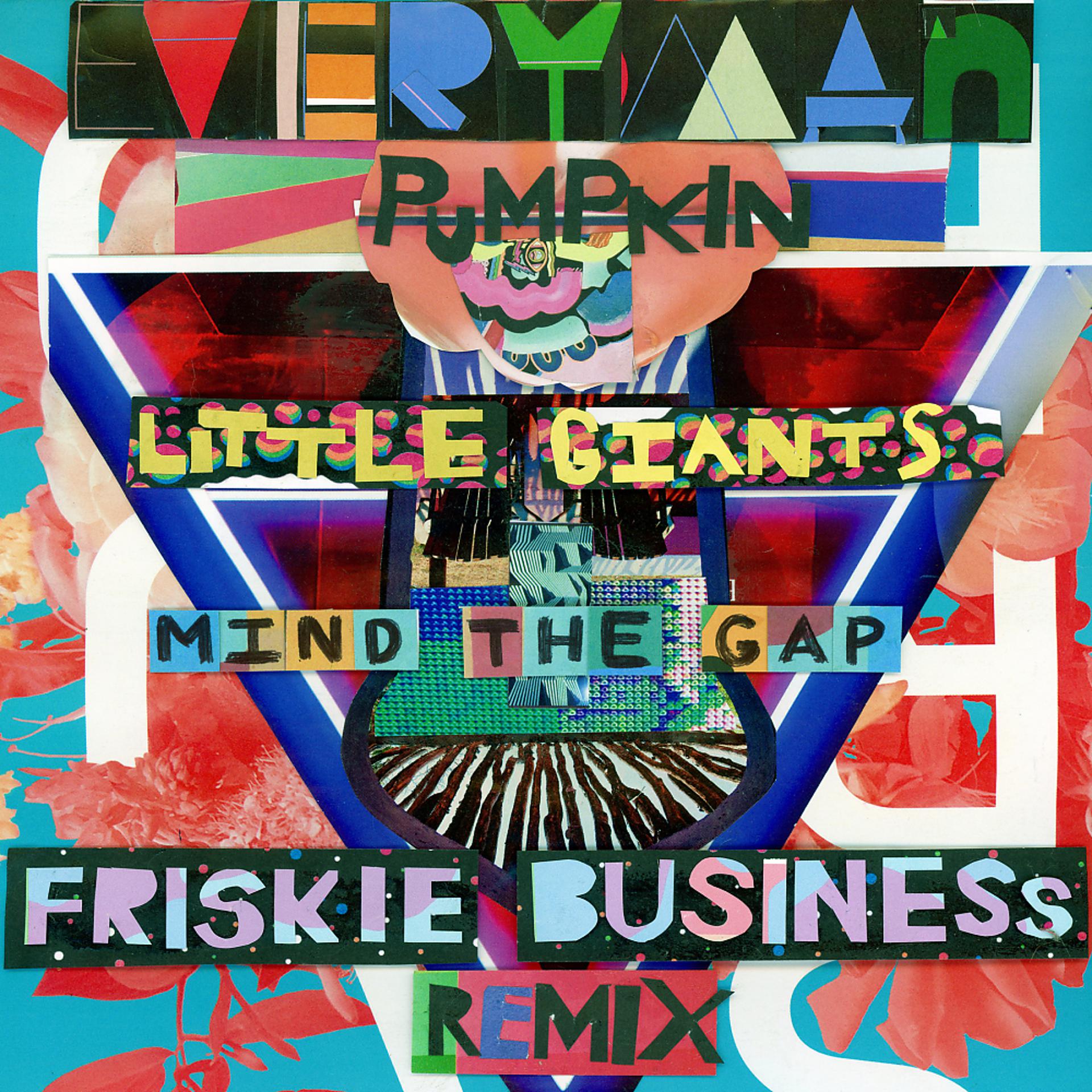 Постер альбома Mind The Gap (Friskie Business Remix)