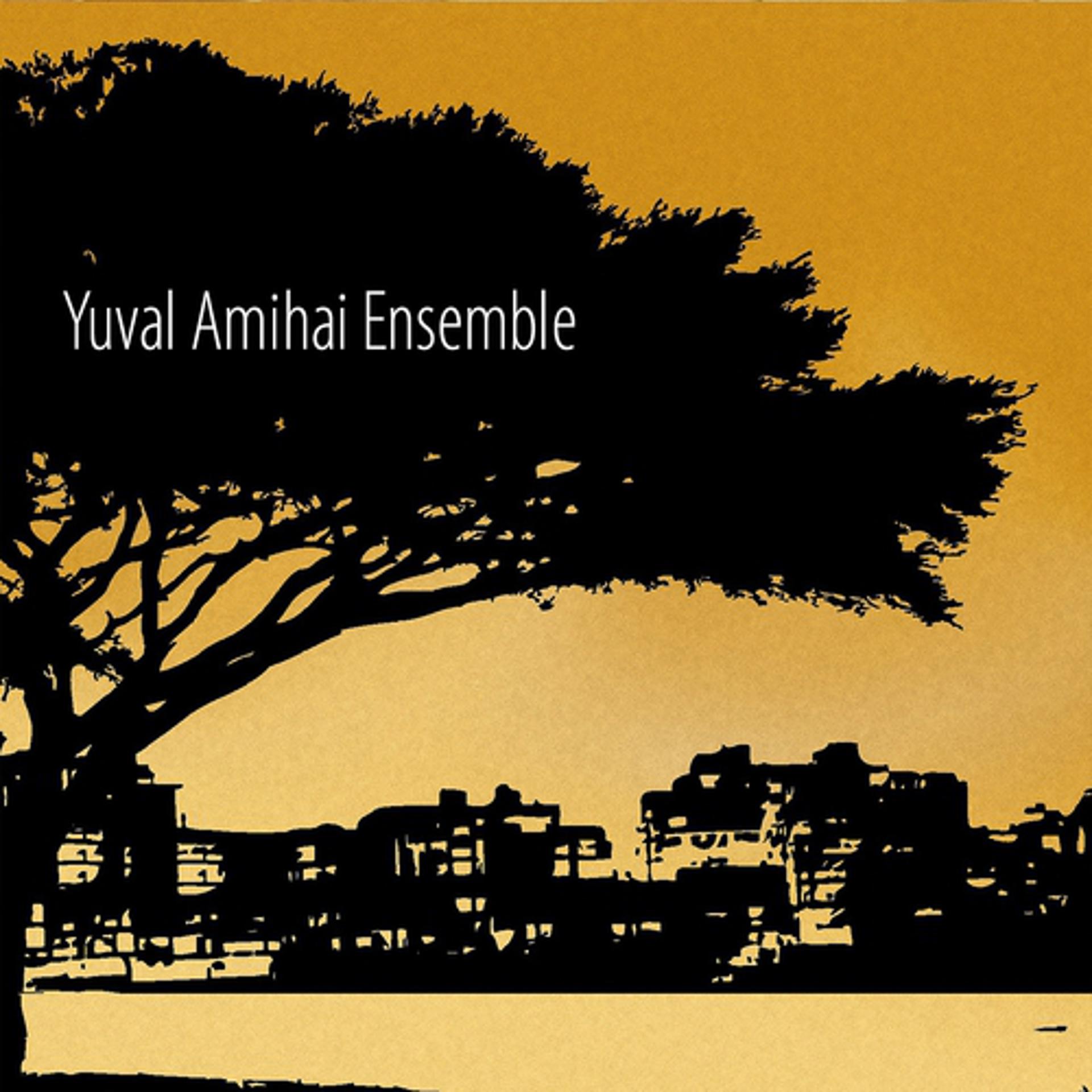 Постер альбома Yuval Amihai Ensemble