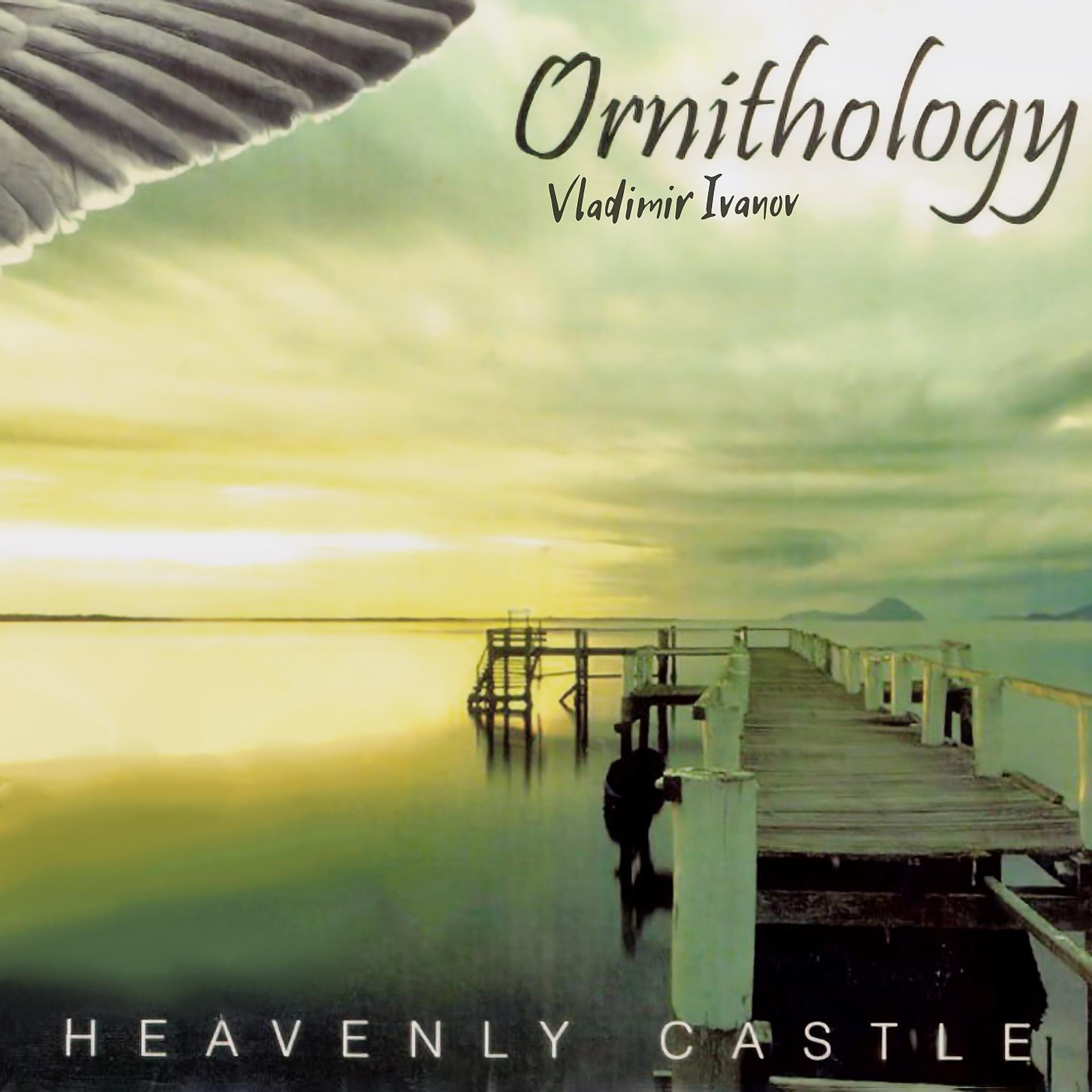 Постер альбома Heavenly Castle