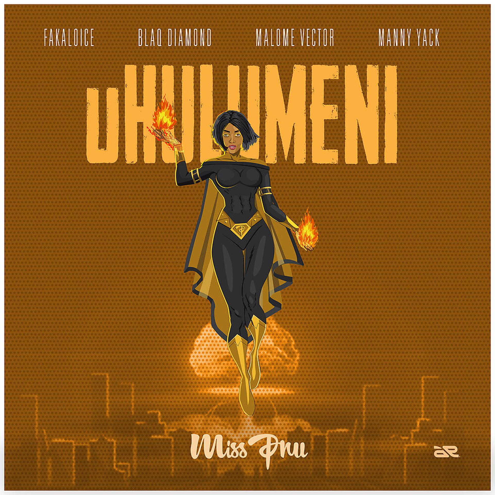 Постер альбома Uhulumeni