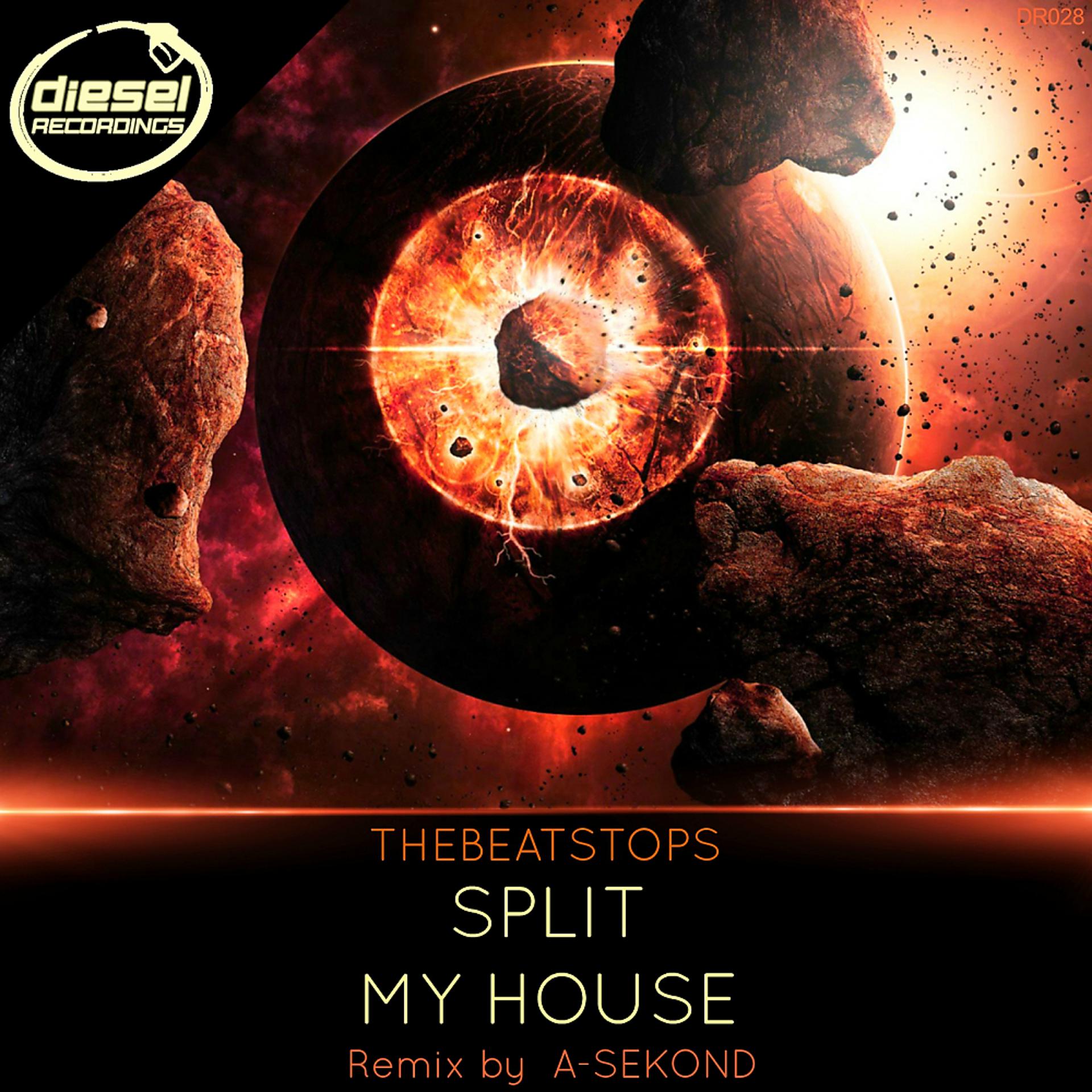 Постер альбома Split / My House