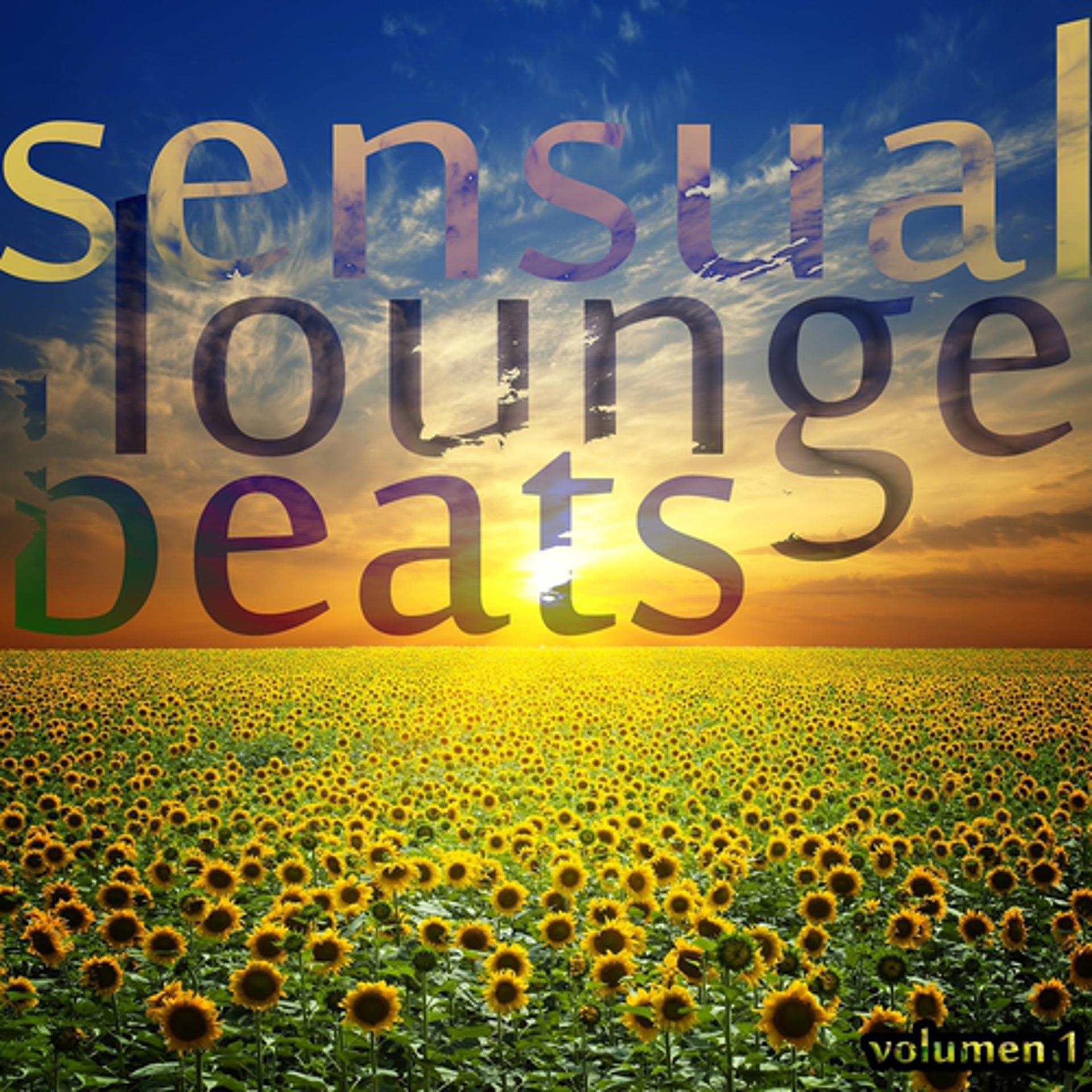 Постер альбома Sensual Lounge Beats, Vol. 1