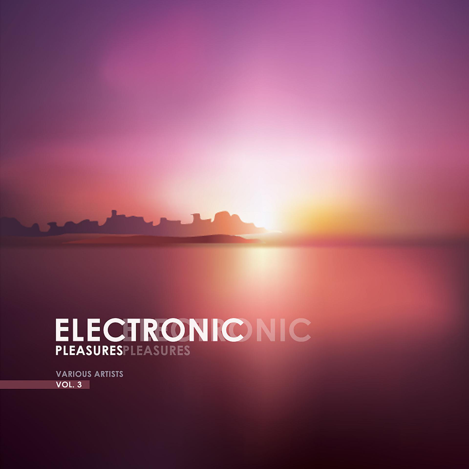 Постер альбома Electronic Pleasures, Vol. 3