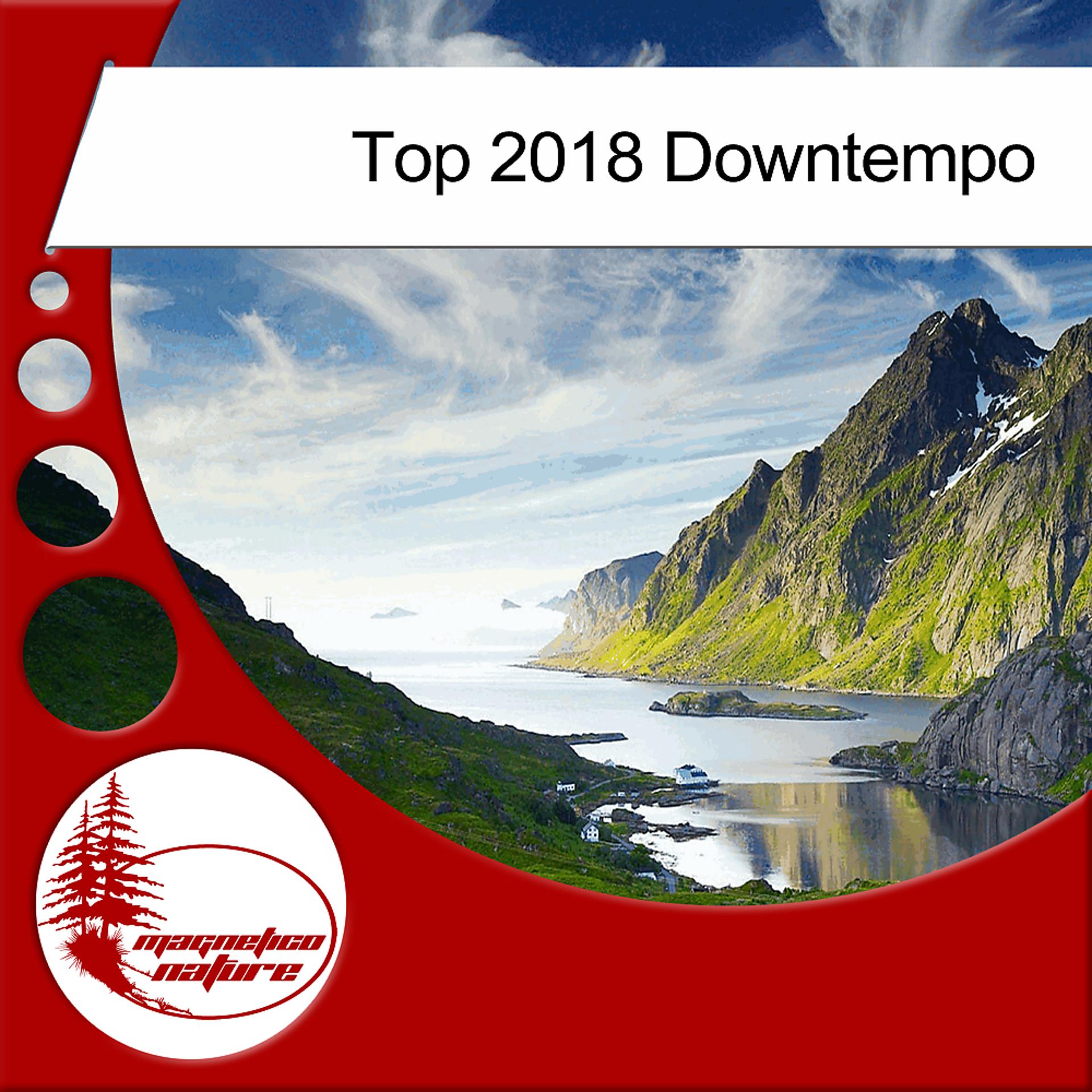 Постер альбома Top 2018 Downtempo