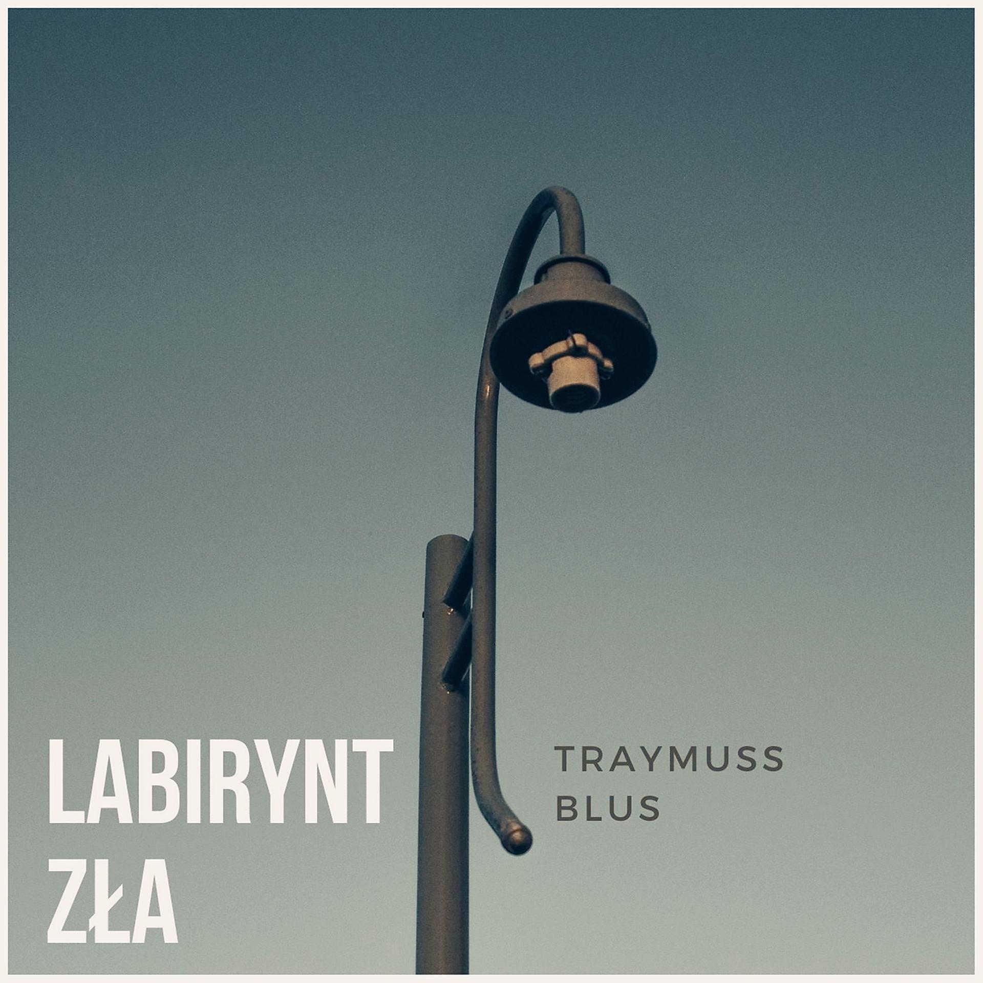 Постер альбома Labirynt Zla
