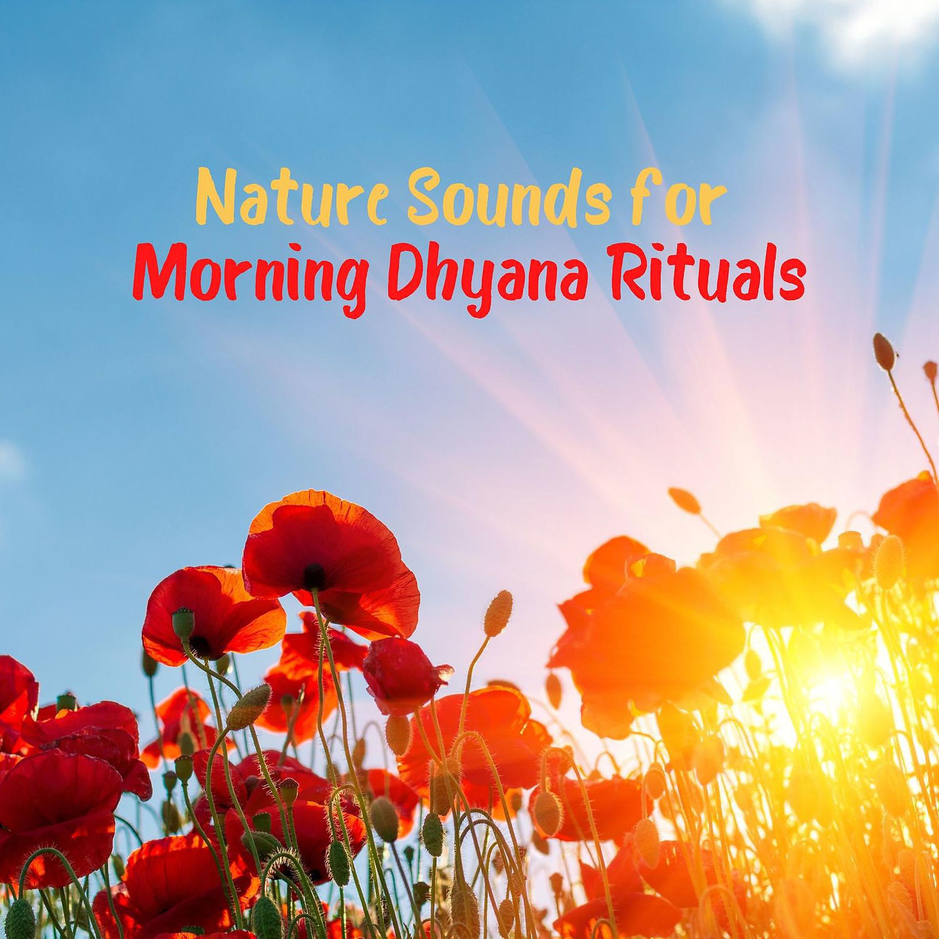 Постер альбома Nature Sounds for Morning Dhyana Rituals: State of Perfect Equanimity and Awareness
