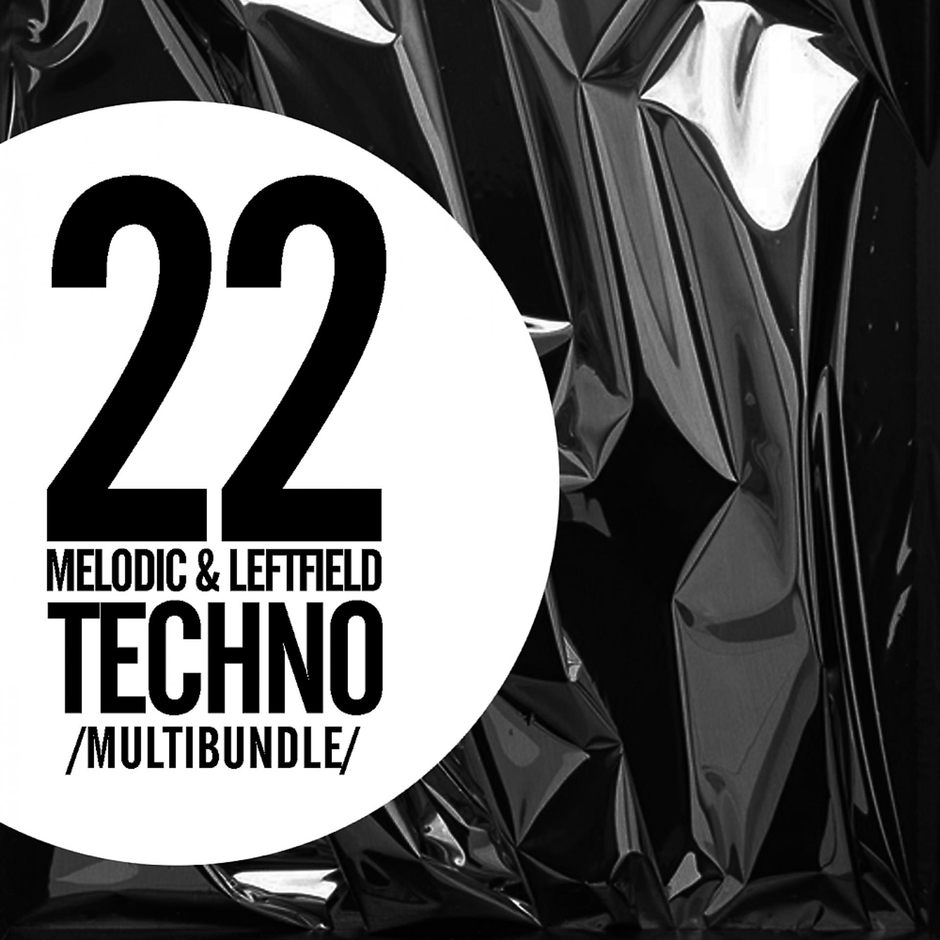 Постер альбома 22 Melodic & Leftfield Techno Multibundle
