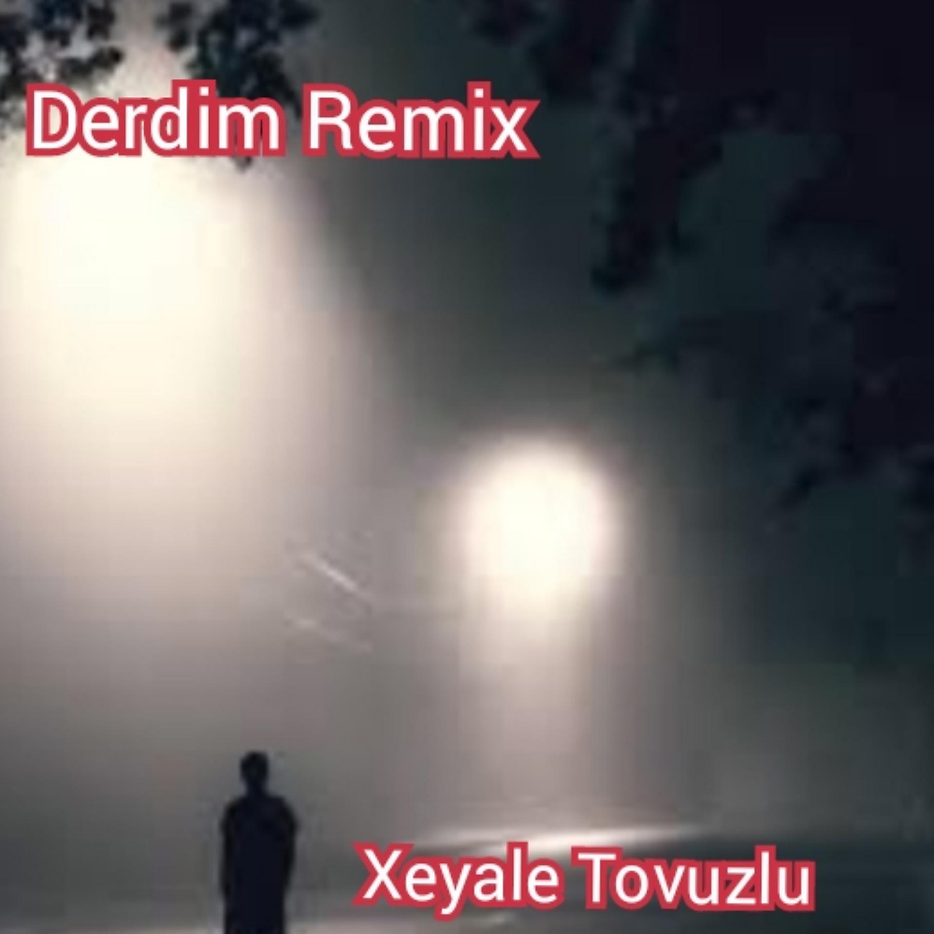 Постер альбома Derdim Remix