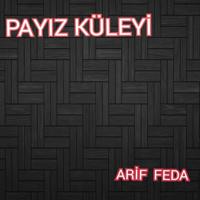 Постер альбома Payız Küleyi