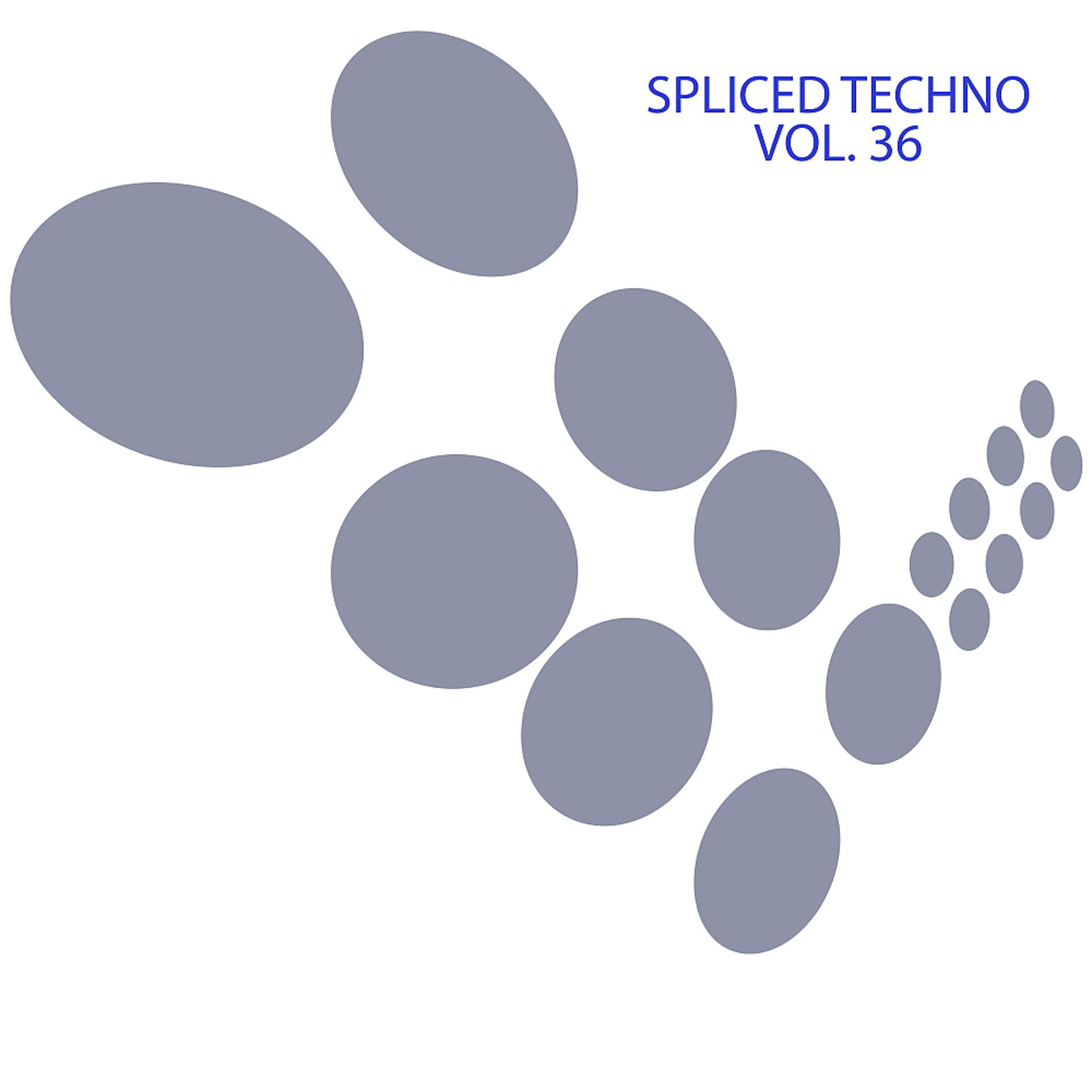 Постер альбома Spliced Techno, Vol. 36
