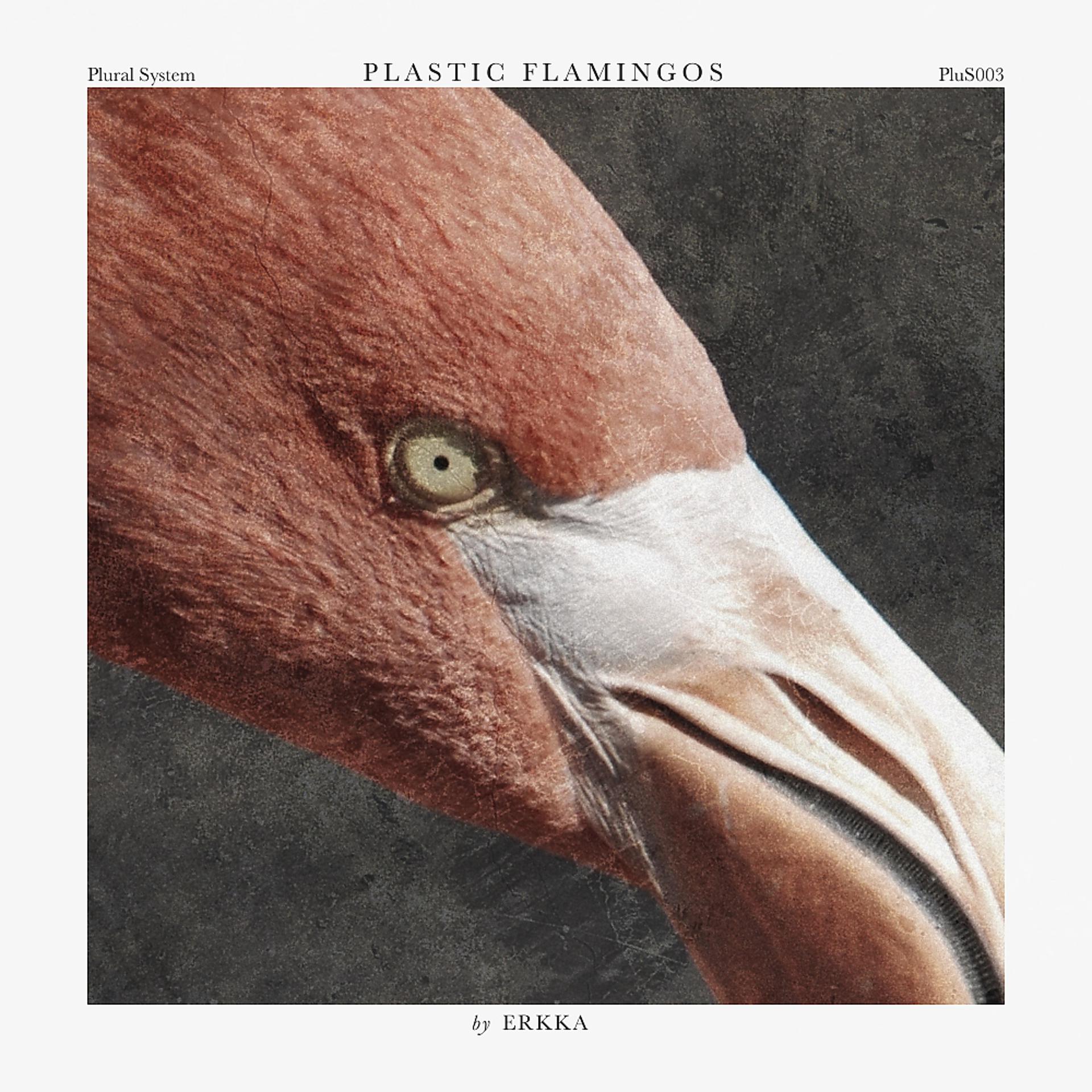 Постер альбома Plastic Flamingos