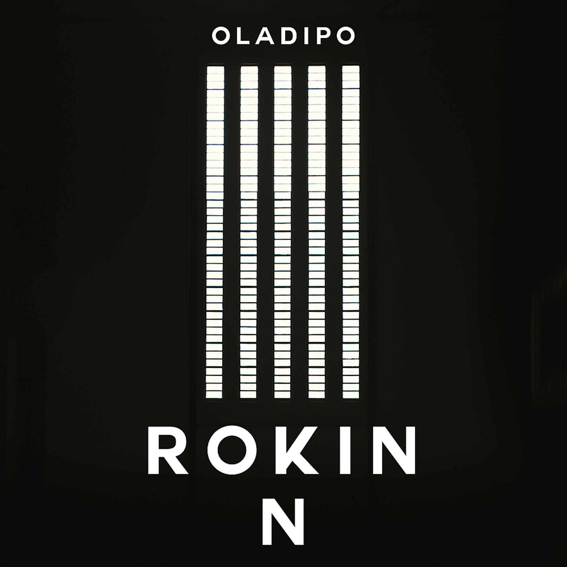Постер альбома Rokin