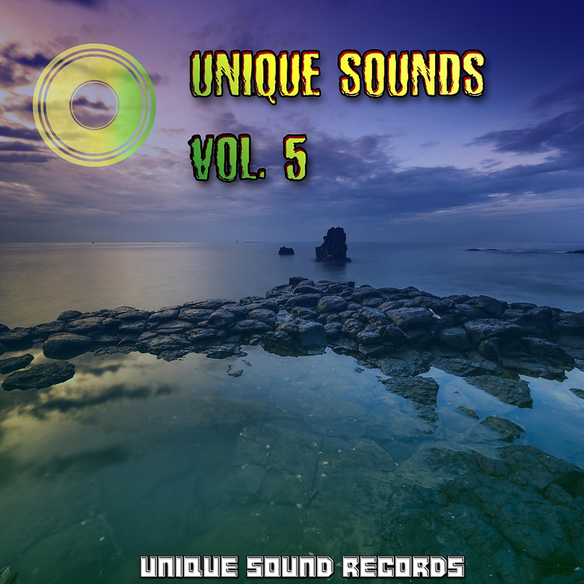 Постер альбома Unique Sounds, Vol. 5